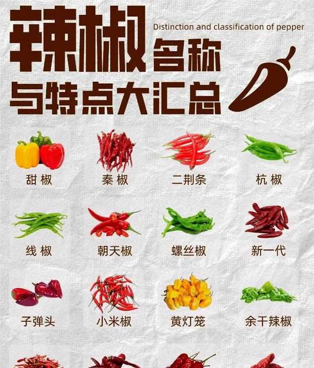 辣椒名称与特点大汇总
