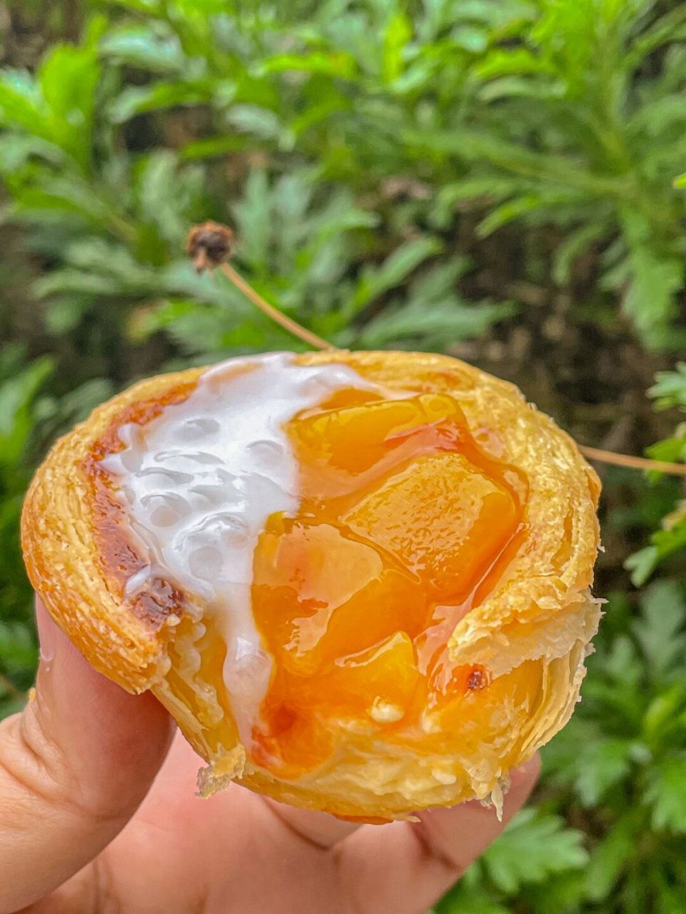 我的妈呀刷到肯德基上新的仙酿梨花白 [中国] 仙气飘飘的一款茶饮!