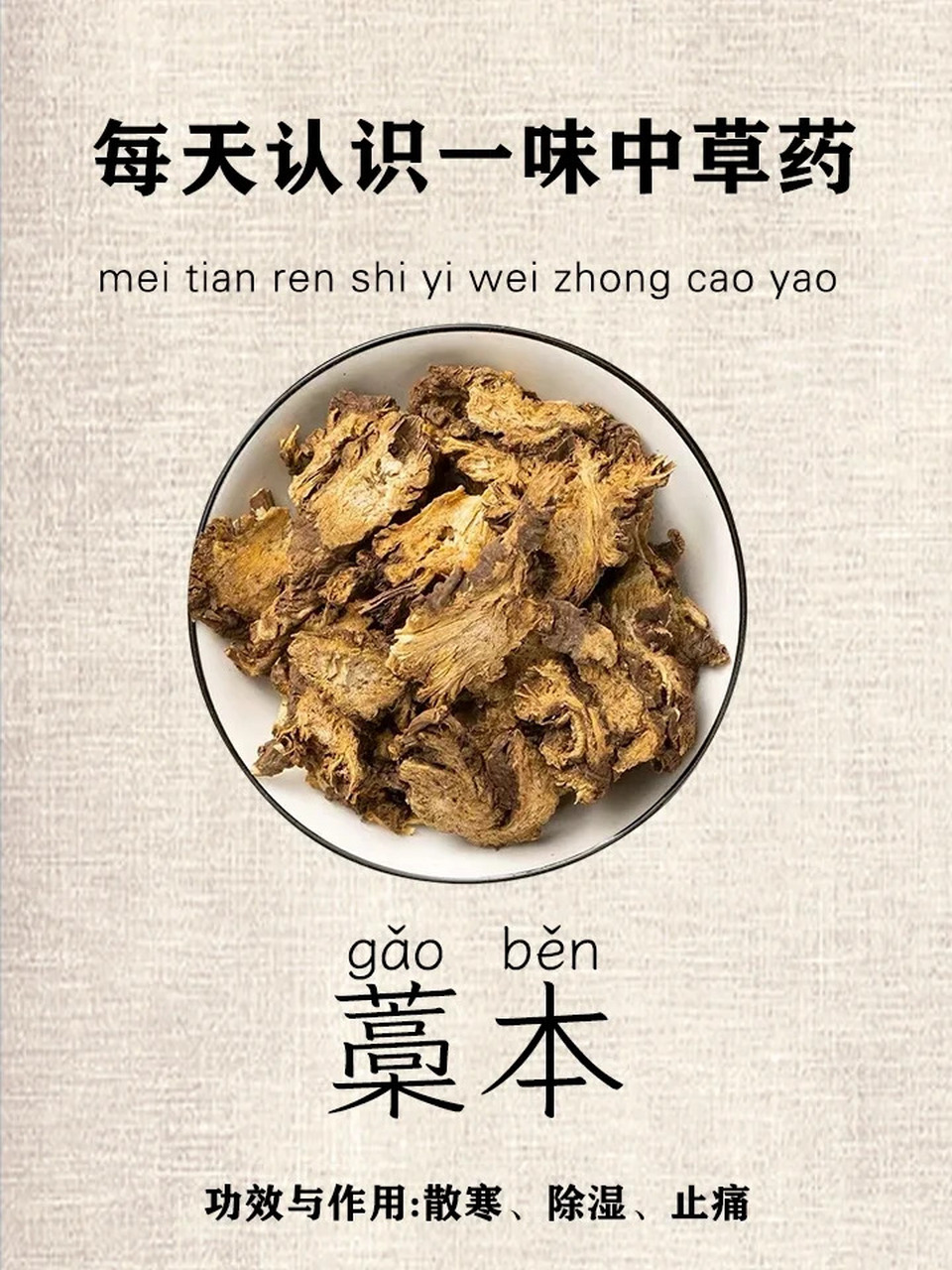 每天认识一味中草药-藁本 中药名:藁本 别名:西芎,香藁本,秦芎.