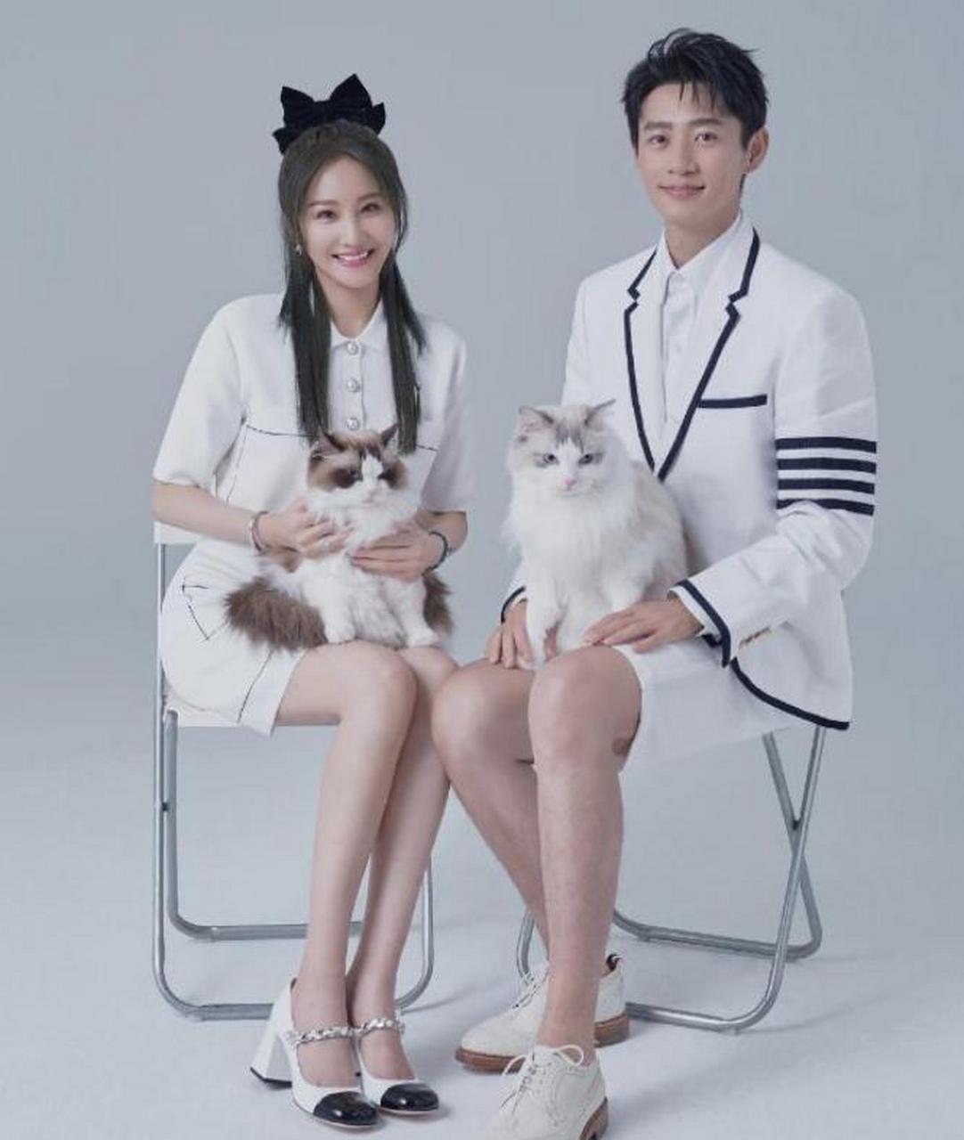 魏晨和于玮终成正果,婚礼现场洋溢着浪漫感动 年关将至,狗仔们为了冲