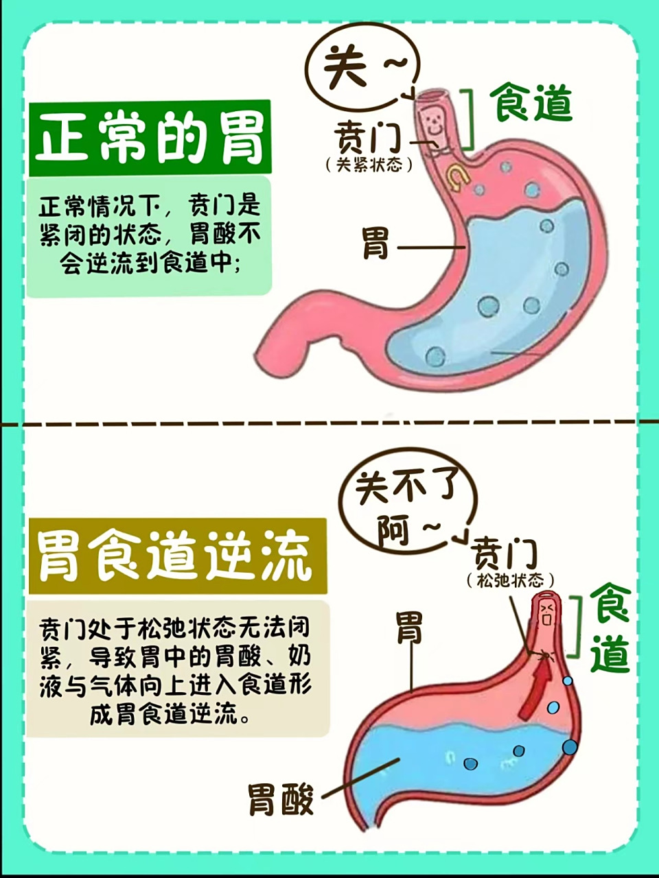 今天刚好看到一张图片,很生