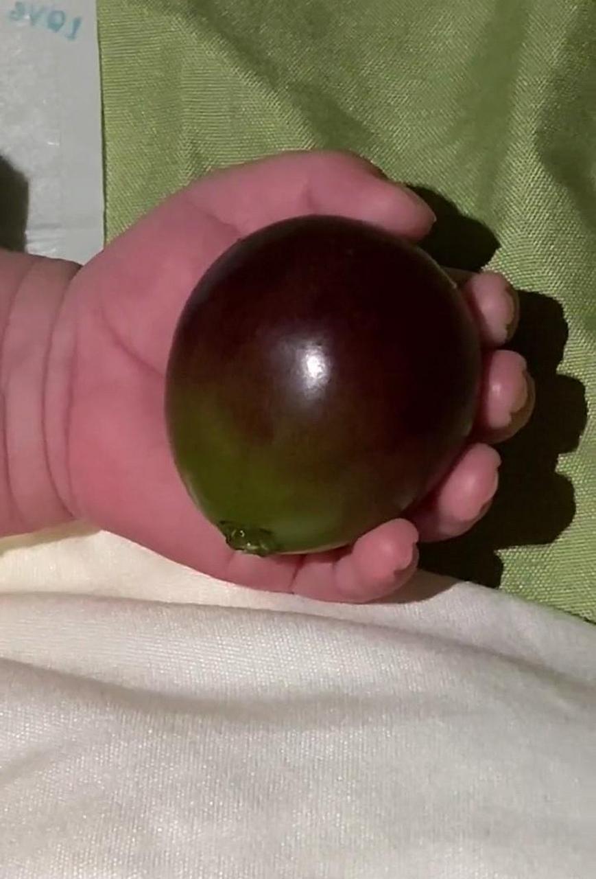 网友:握在宝宝手里的葡萄,看着也太大了!
