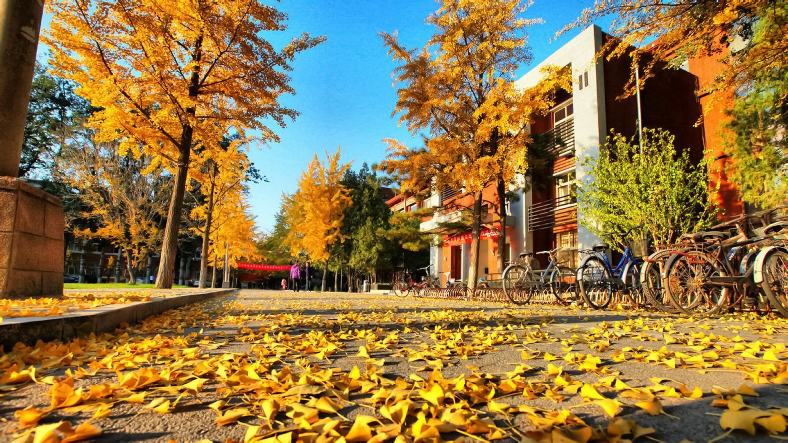 湖南师范大学目标壁纸图片