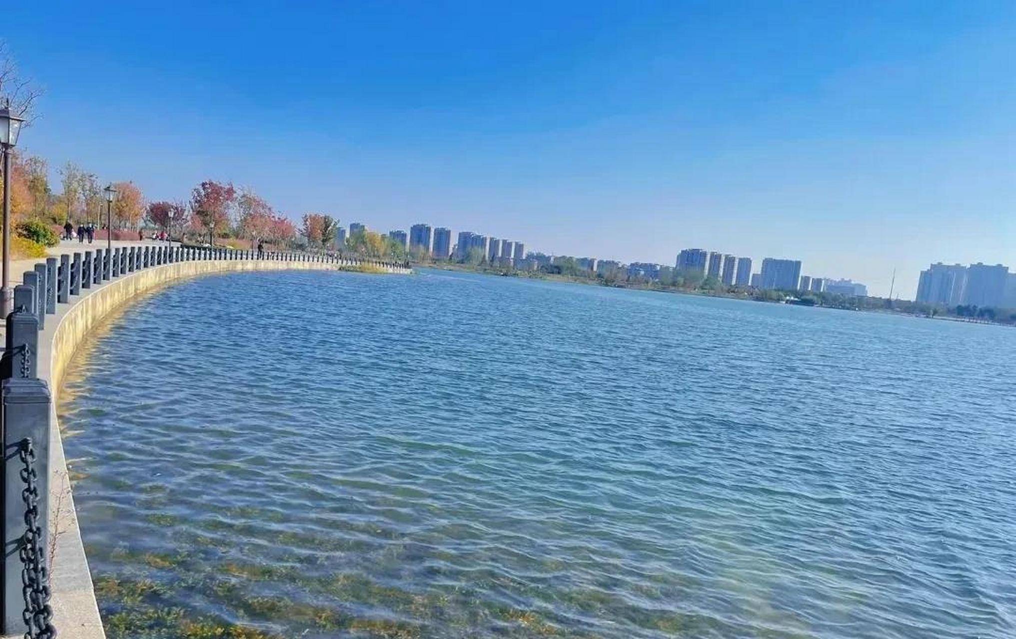 湖光波波 去不了 婺源 67总要来一趟 少荃湖吧 67感受合肥的春天!