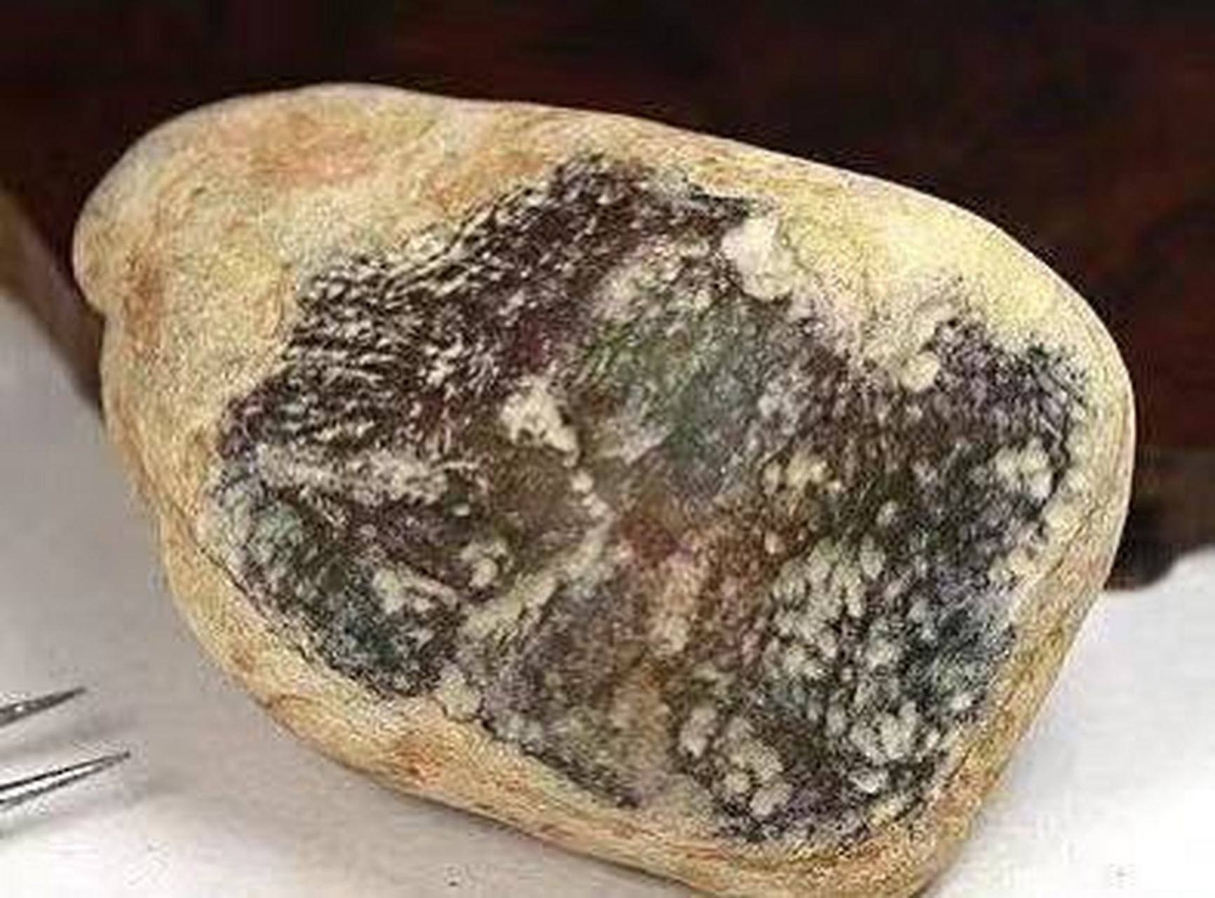 半山半水石的皮壳类型你知道那些?