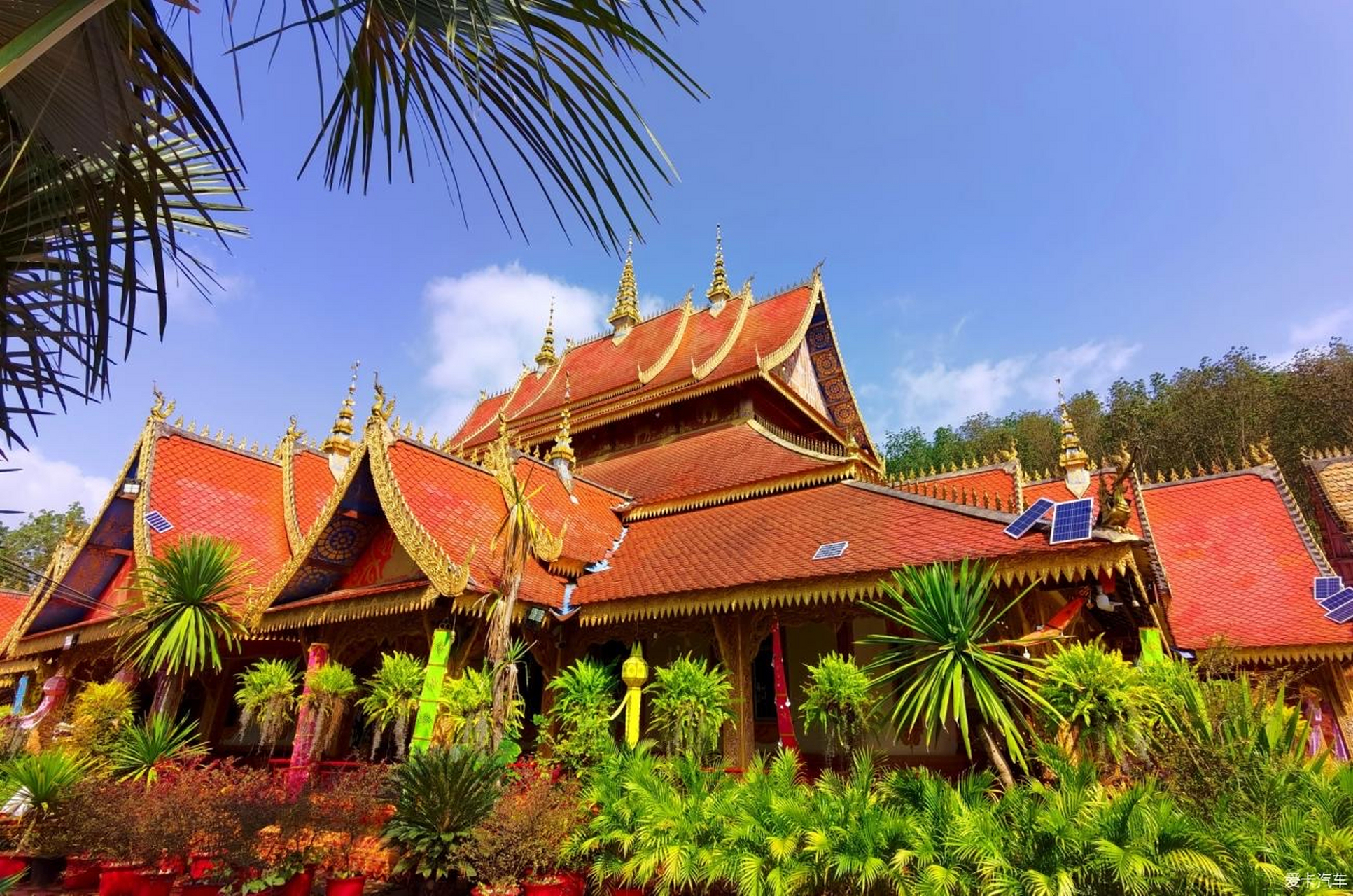 今天给大家分享一篇关于西双版纳的旅行攻略.