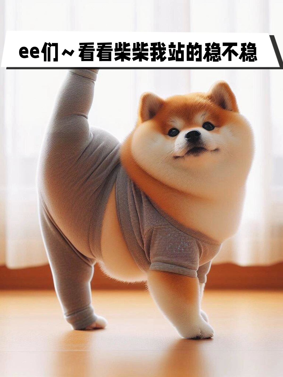 ee们～看看柴柴我站的稳不稳