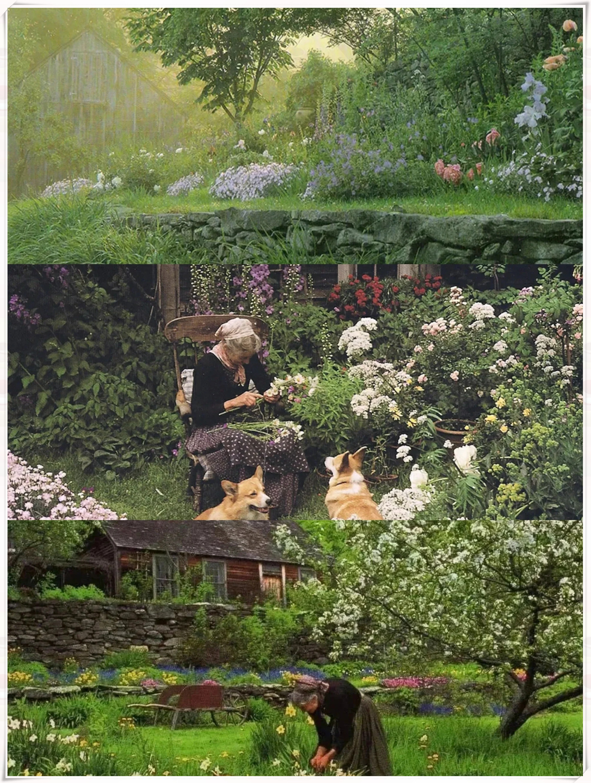 封神的纪录片 所有人都给我冲