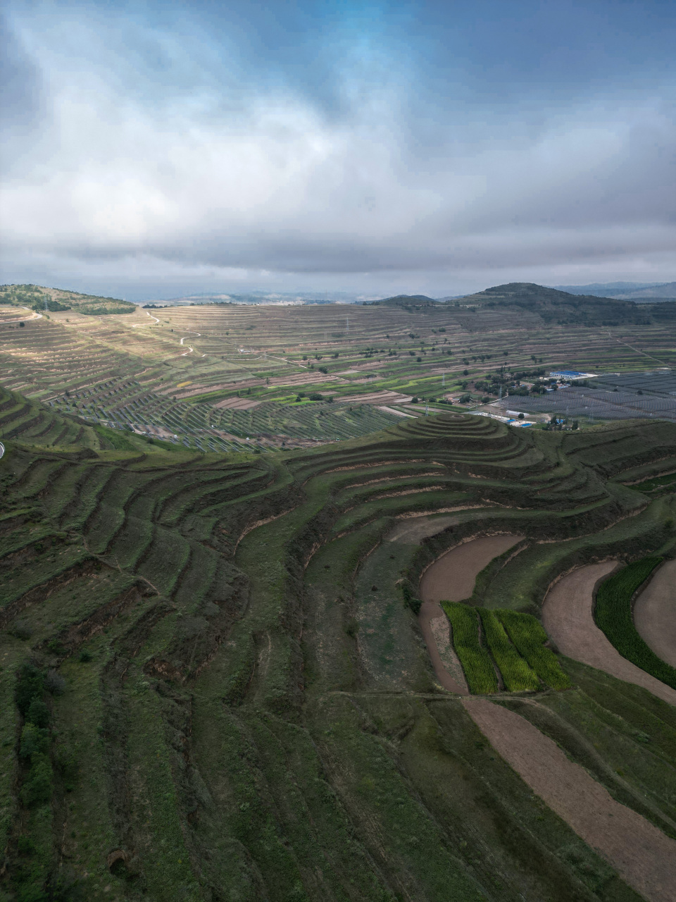 甘肃通渭梯田,展现出不同的秋天景色,让人喜欢 秋天大家最应该看的
