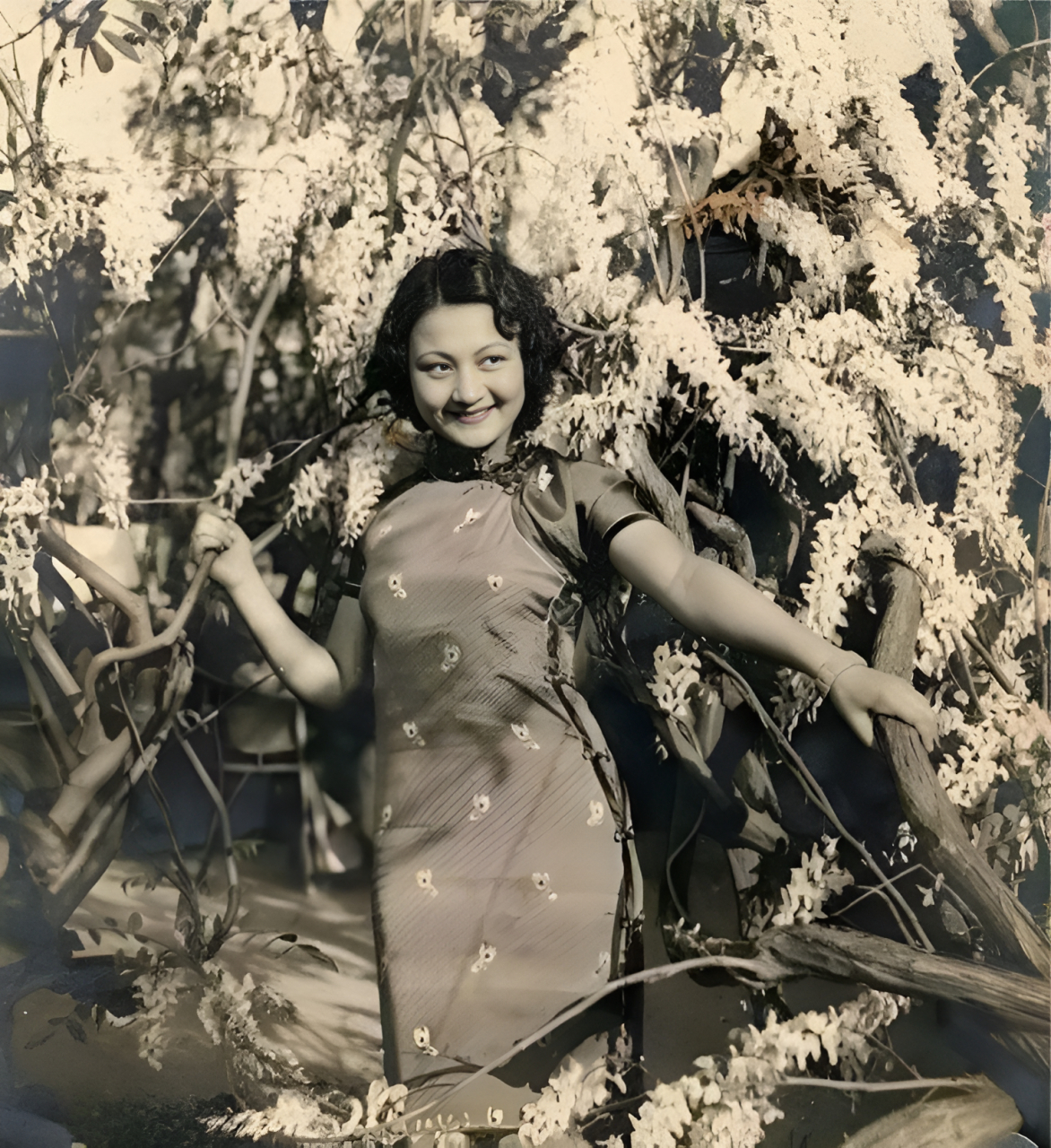 "    就这样,马月兰成了舅舅马步芳的玩物!