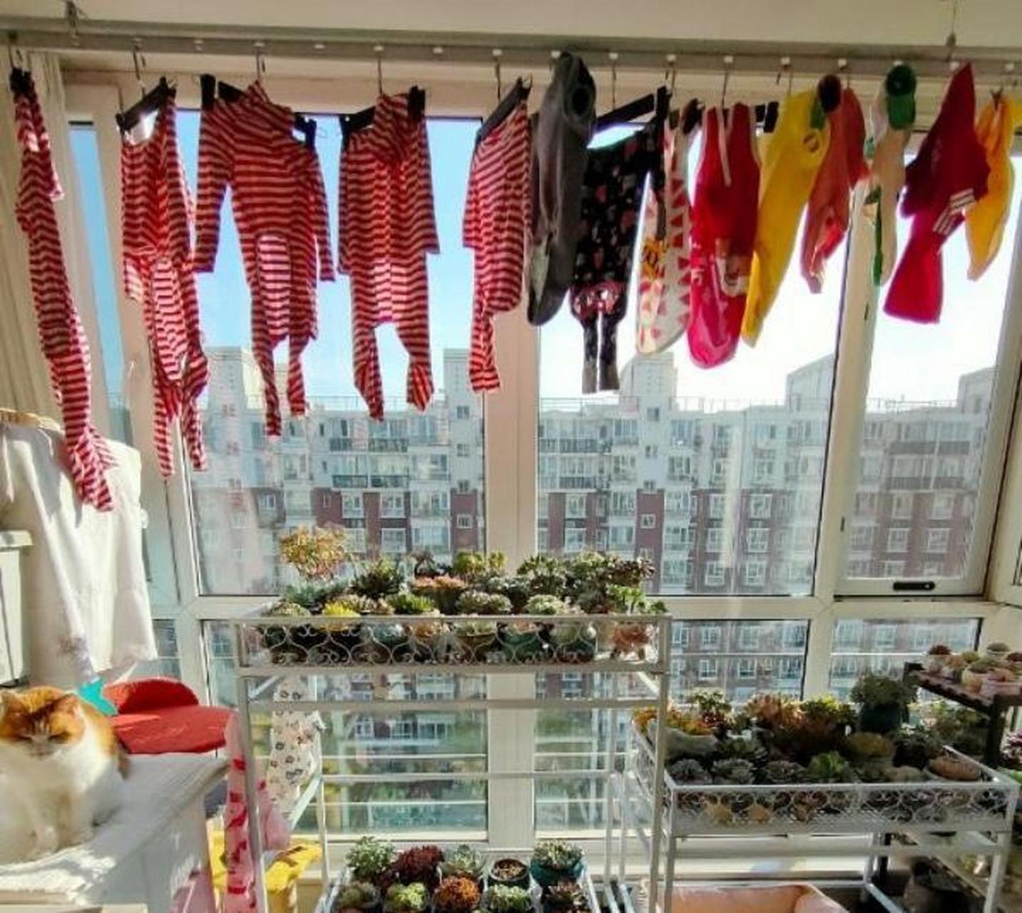 感觉整个阳台都乱糟糟的