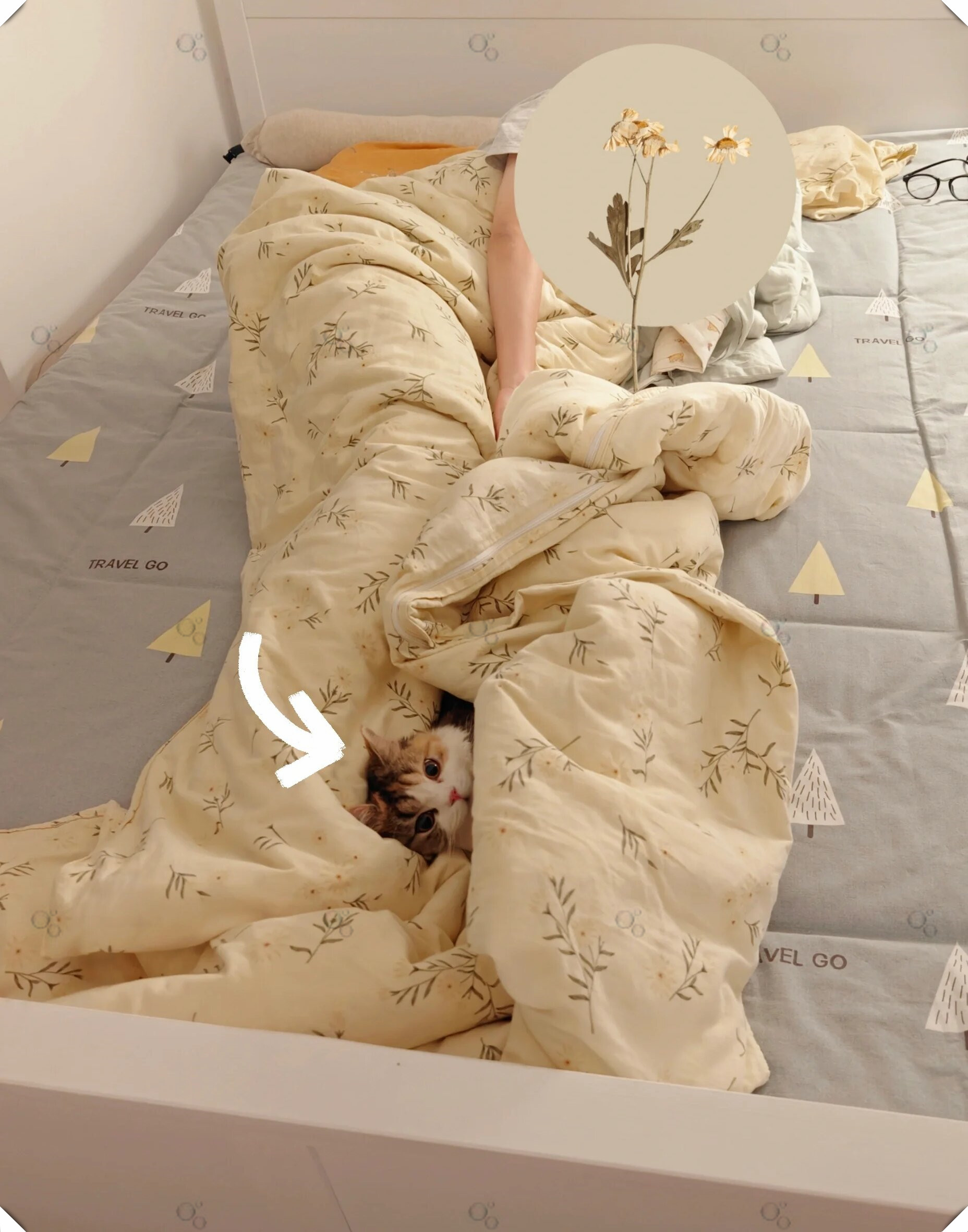 是不是觉得它们没有一点边界感呀!不懂就问,小猫咪总钻被窝正常吗?