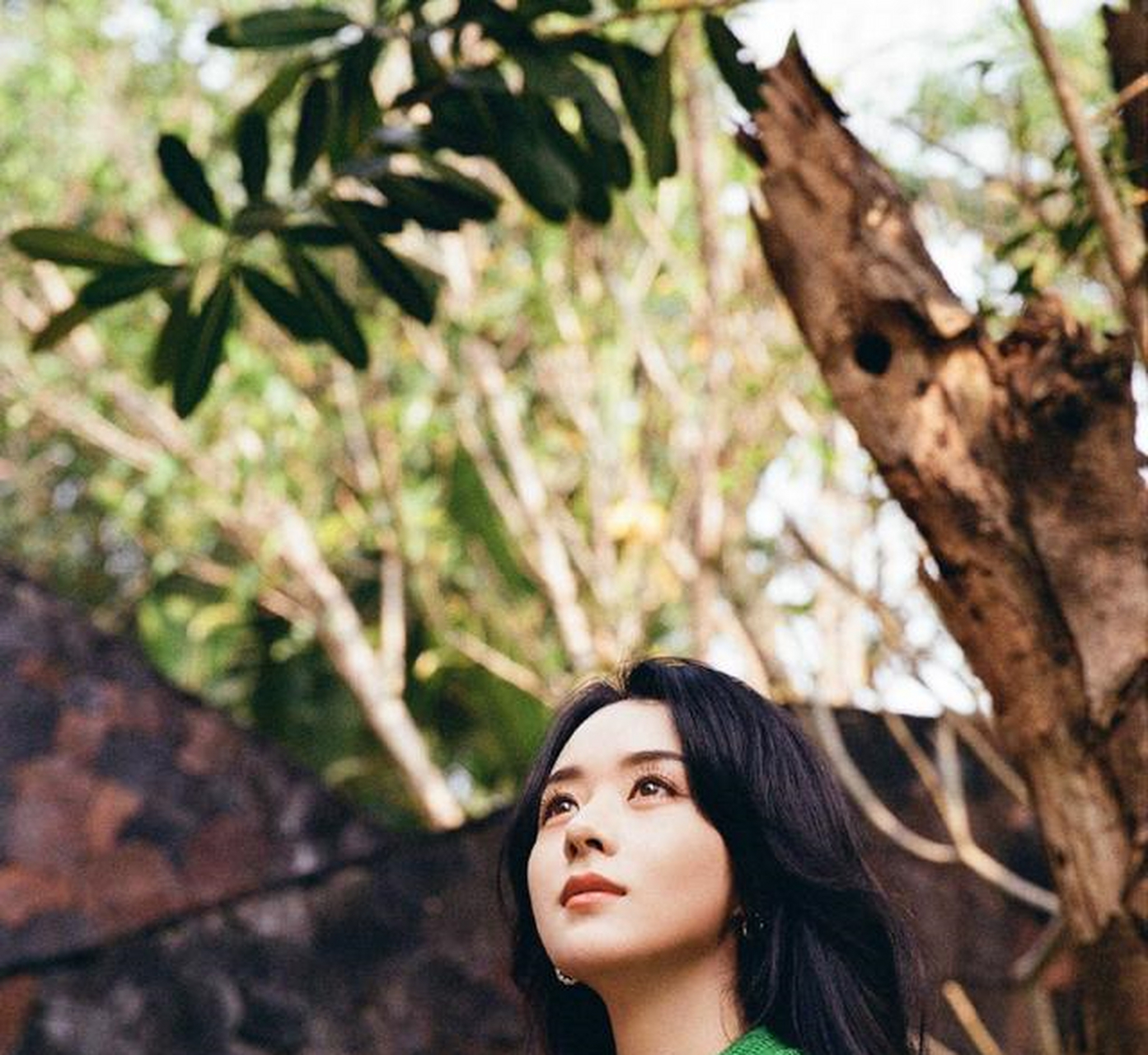 赵丽颖森林风写真清新甜美,活力满满