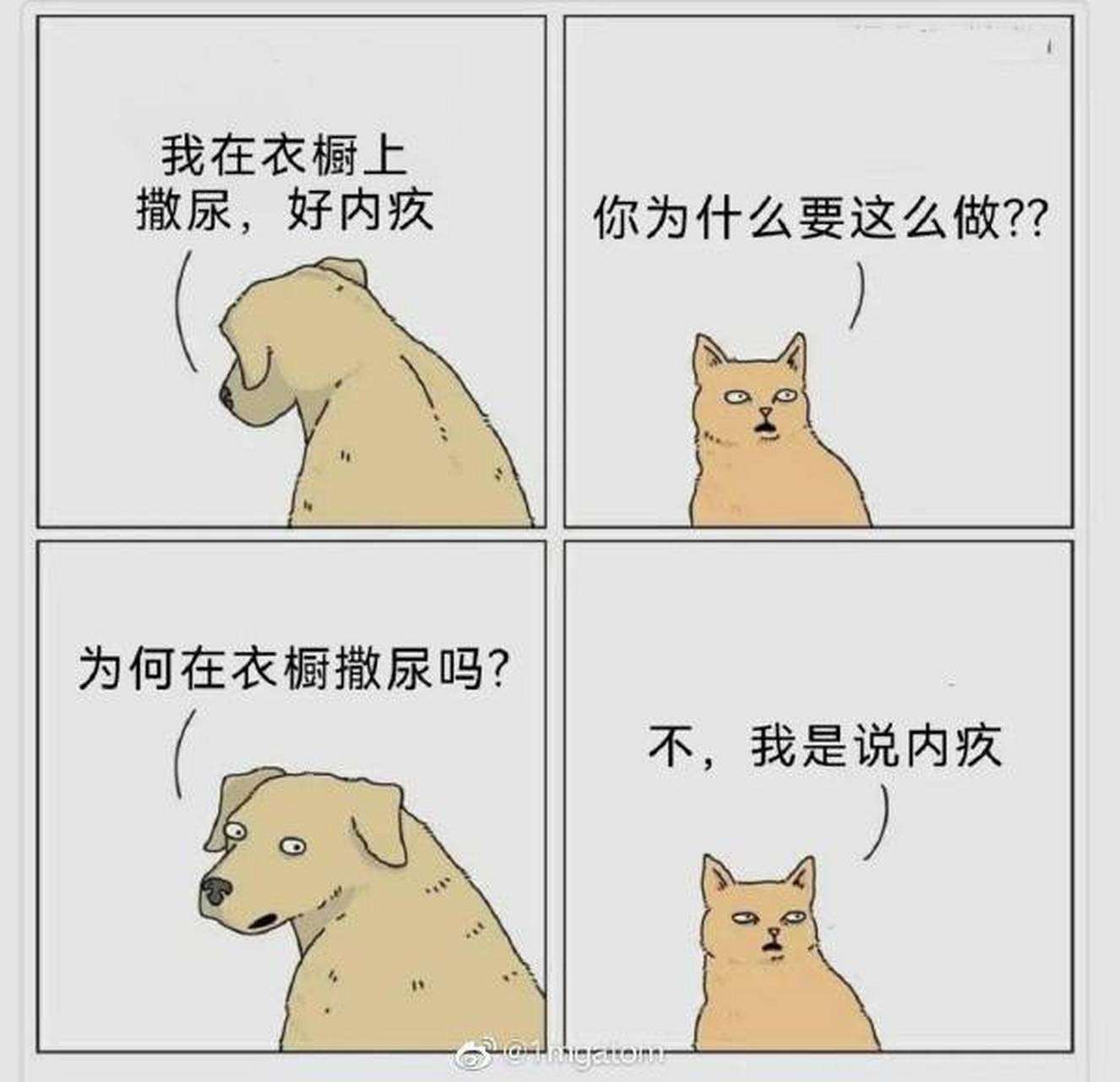 鸡掰猫猫  #搞笑# #喵了个汪# #漫画
