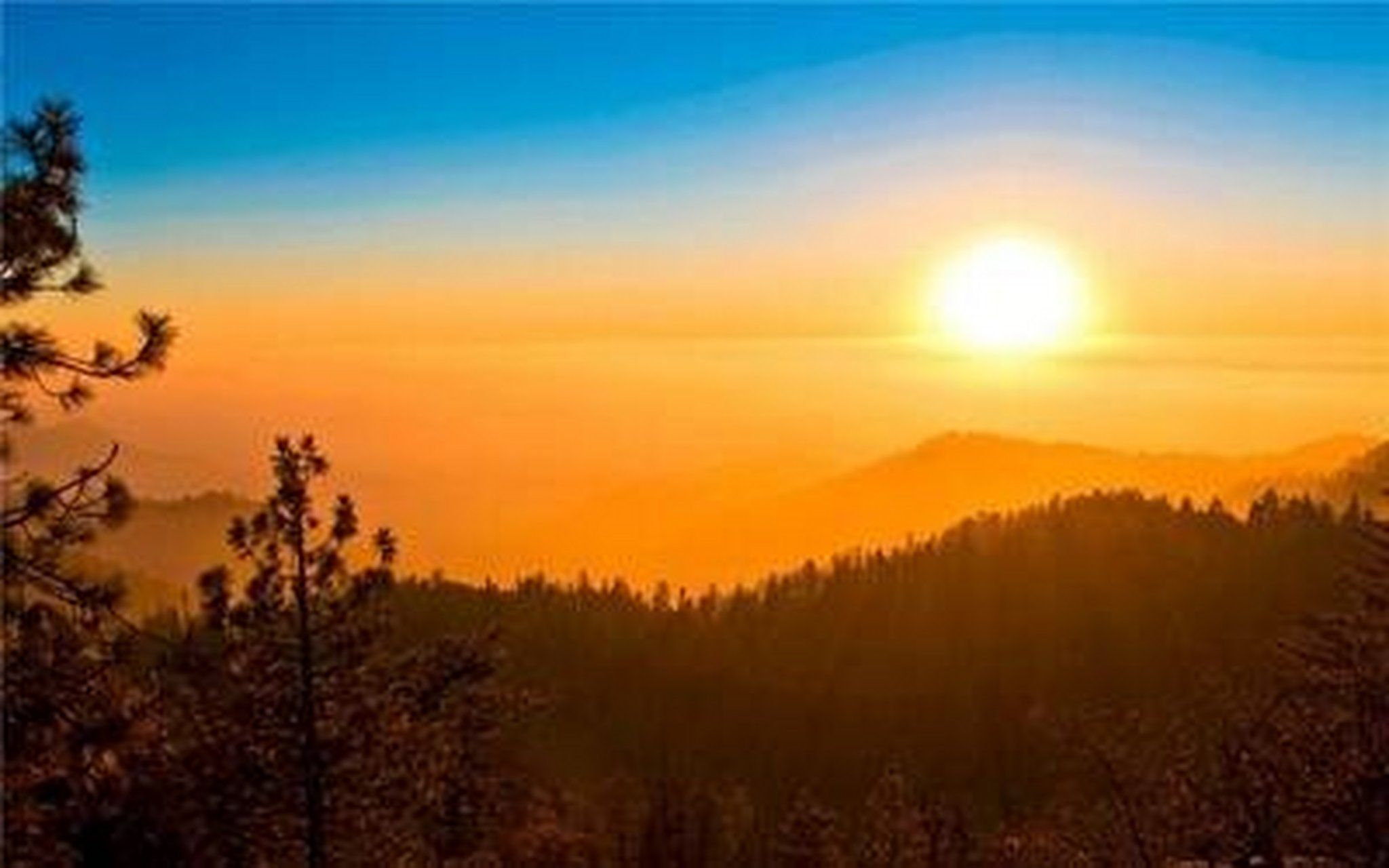 佛在心中莫外求,禅语浅显自然游.