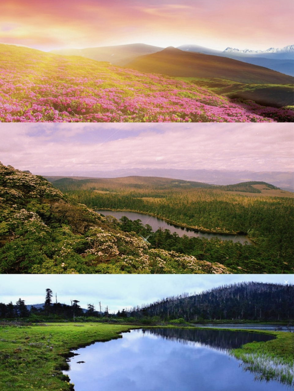 千湖山位于香格里拉县小中甸乡团结村境内,藏语称"拉姆东措",意为"