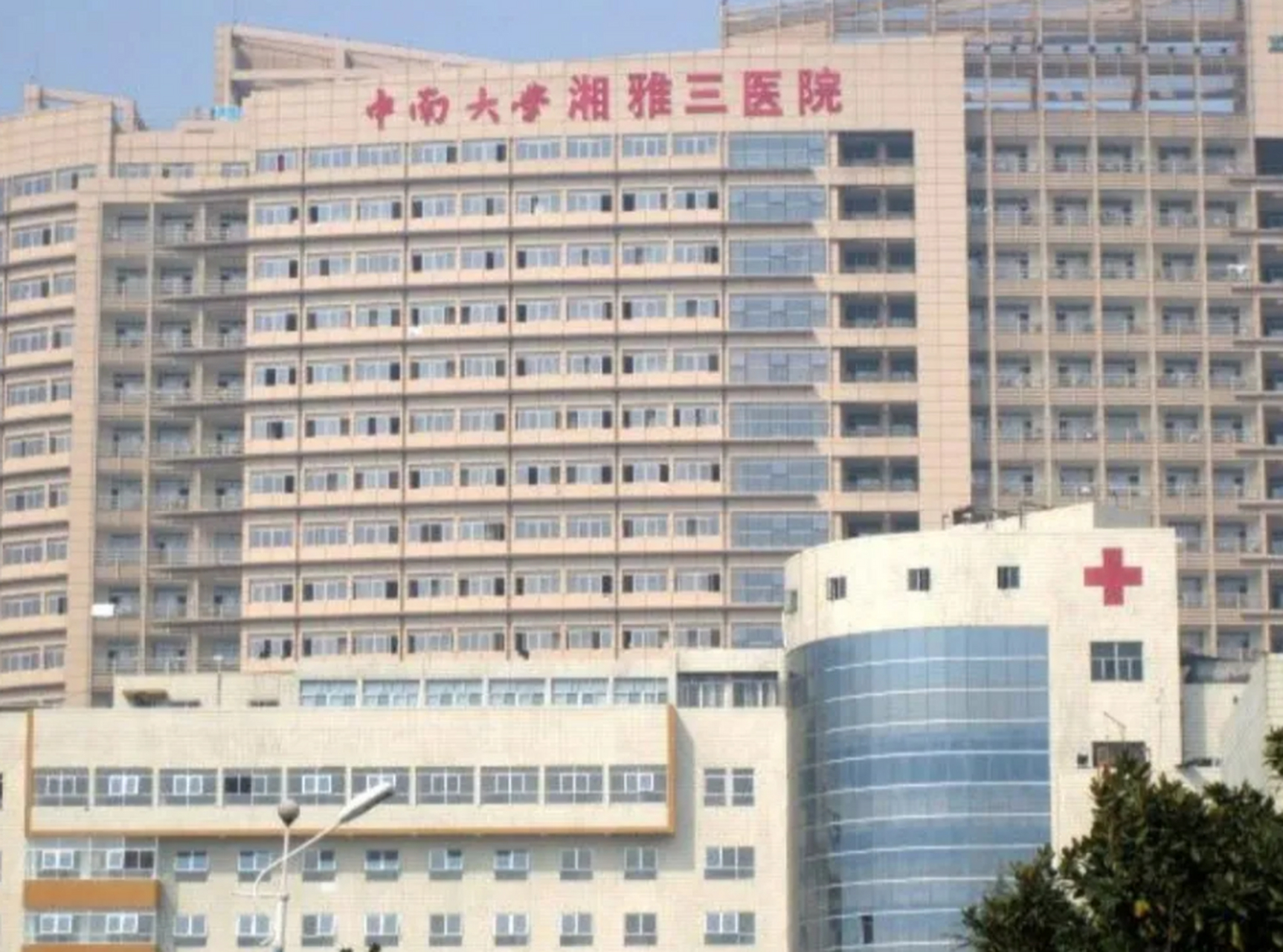 包含協和醫院地理位置跑腿代掛聯系的詞條