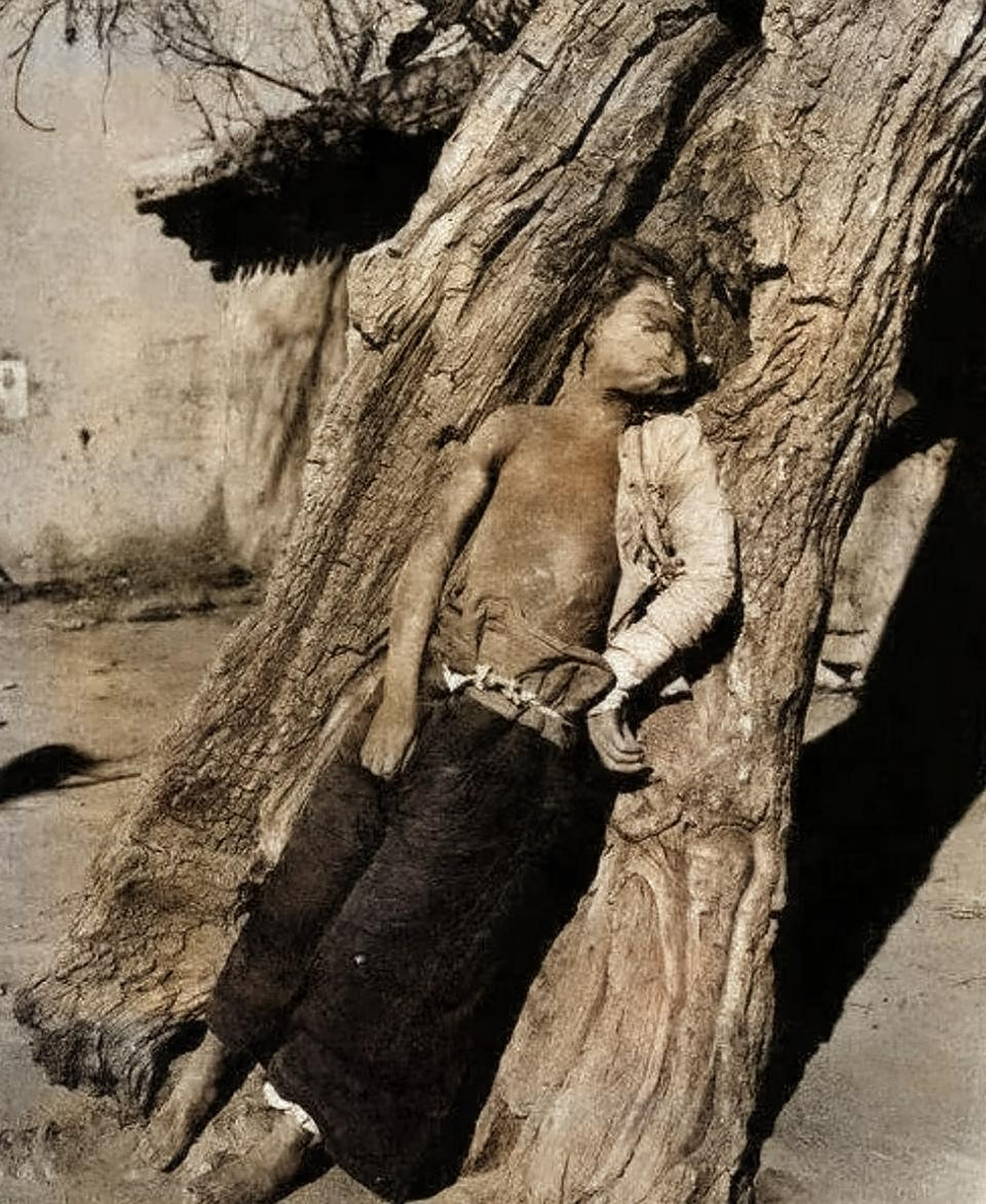 86年前,西北马家军将红五军的张护士长命名为"红军蝗虫".