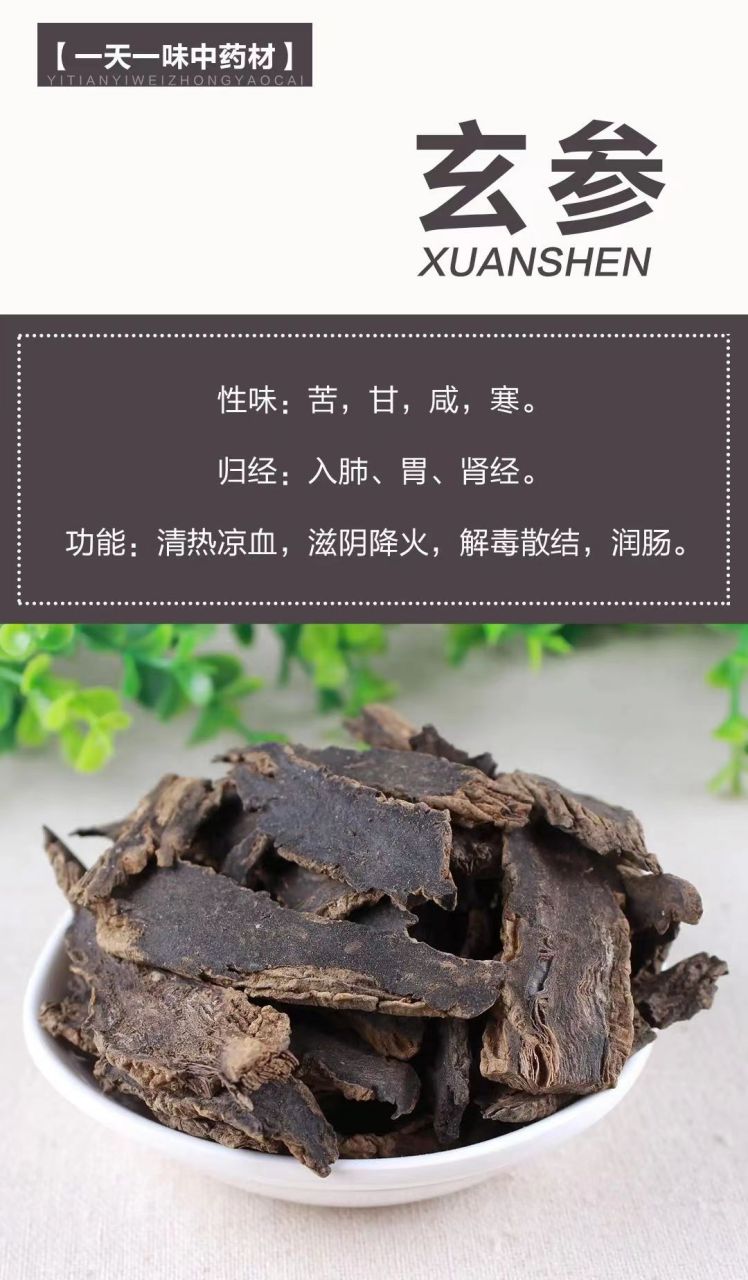 玄参归经图片