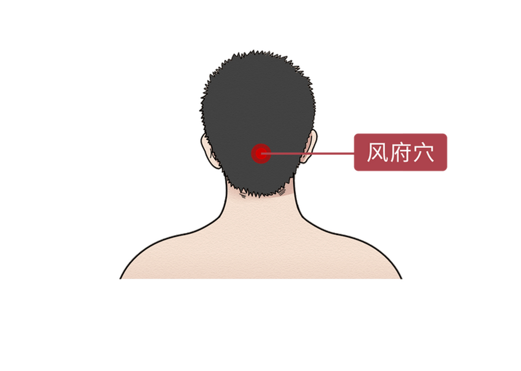 风府准确位置图片