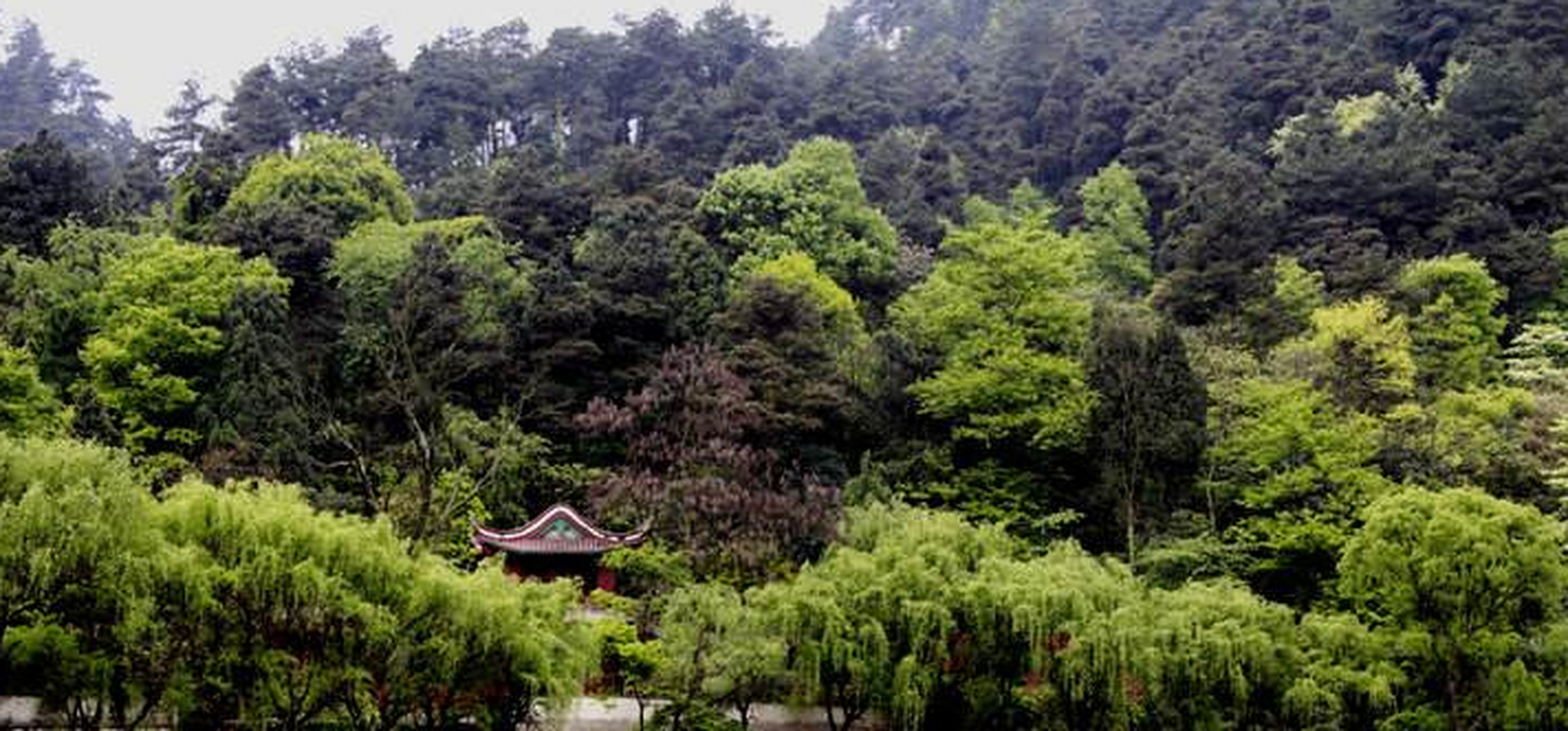 在贵阳市云岩区境内有一座可以称之为是"黔南第一山"的山峰—黔灵山