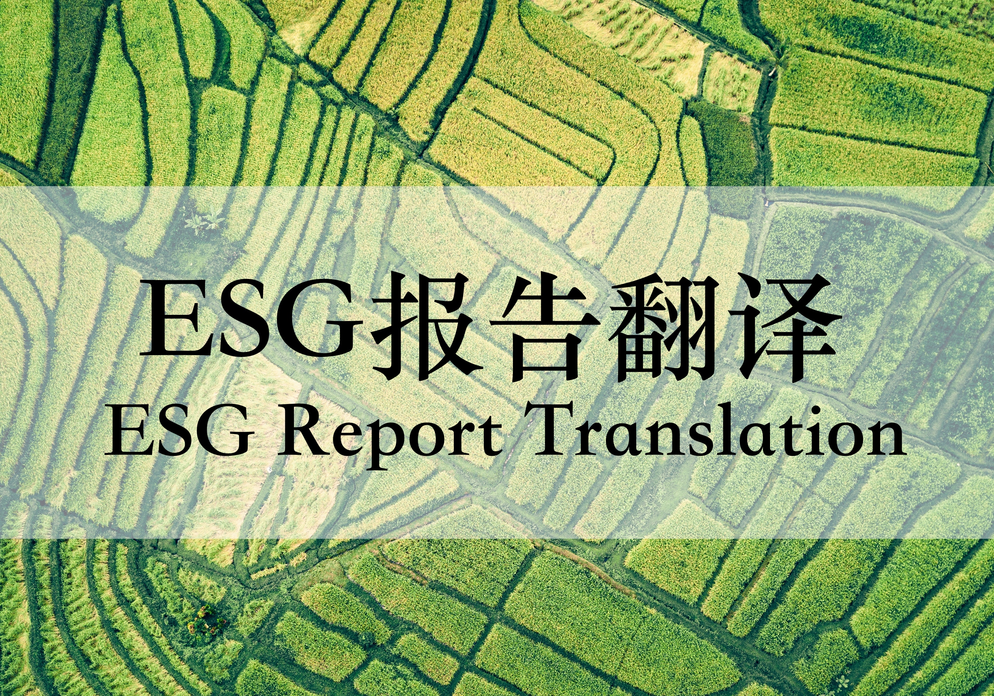 体现社会价值英语怎么说呢(社会价值英语翻译)
