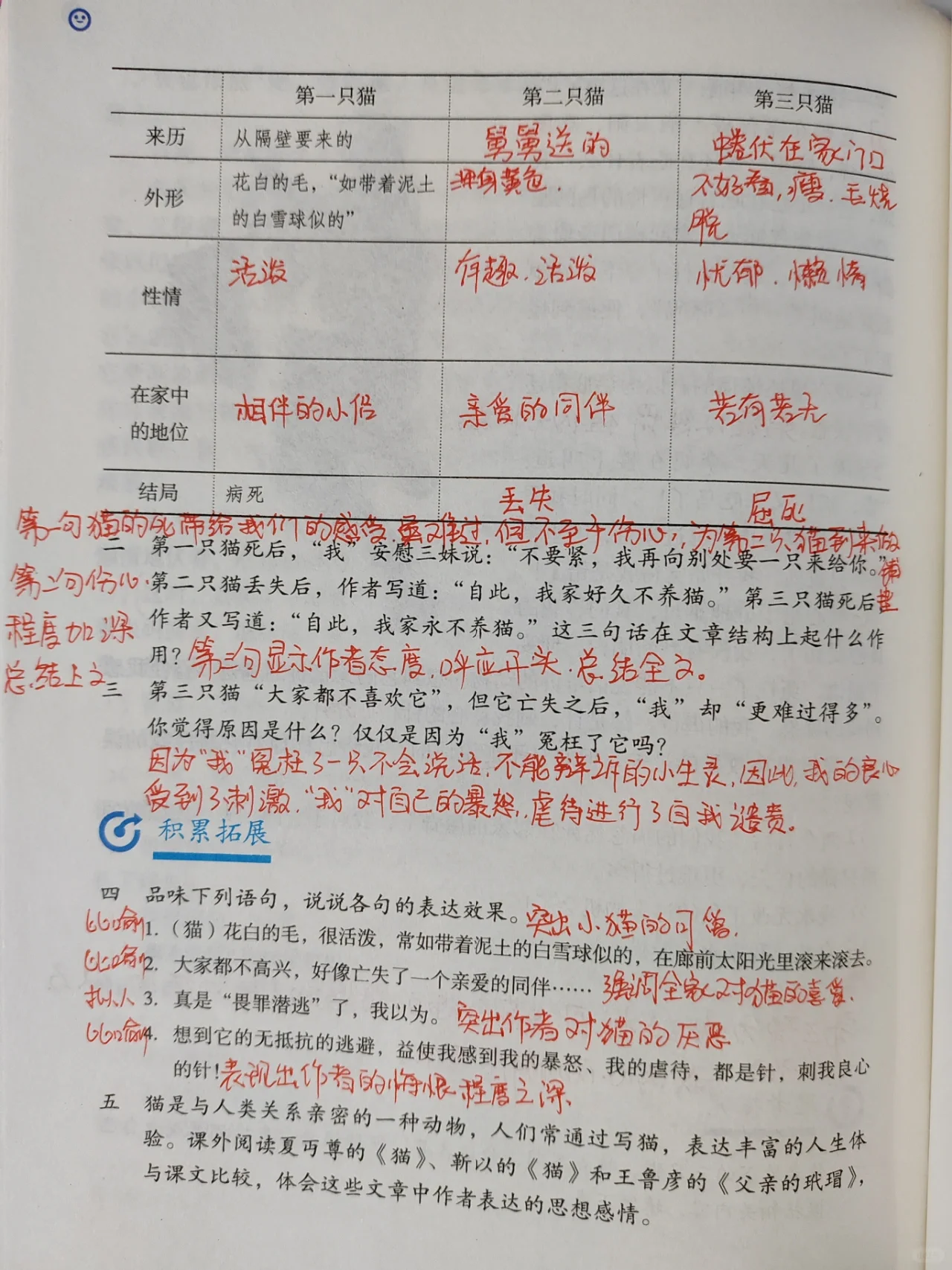 16课猫的笔记图片图片