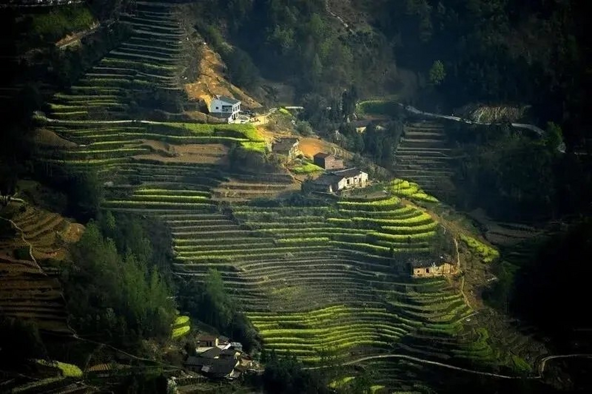 风堰古梯田位于汉阴县漩涡镇,号称中国农耕文化的"活化石",从乾隆年间