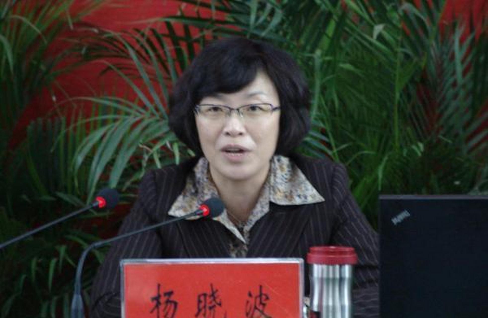 "杨晓波出卖自己,一步步走上市长" 作为一名在基层从事人事工作的科员