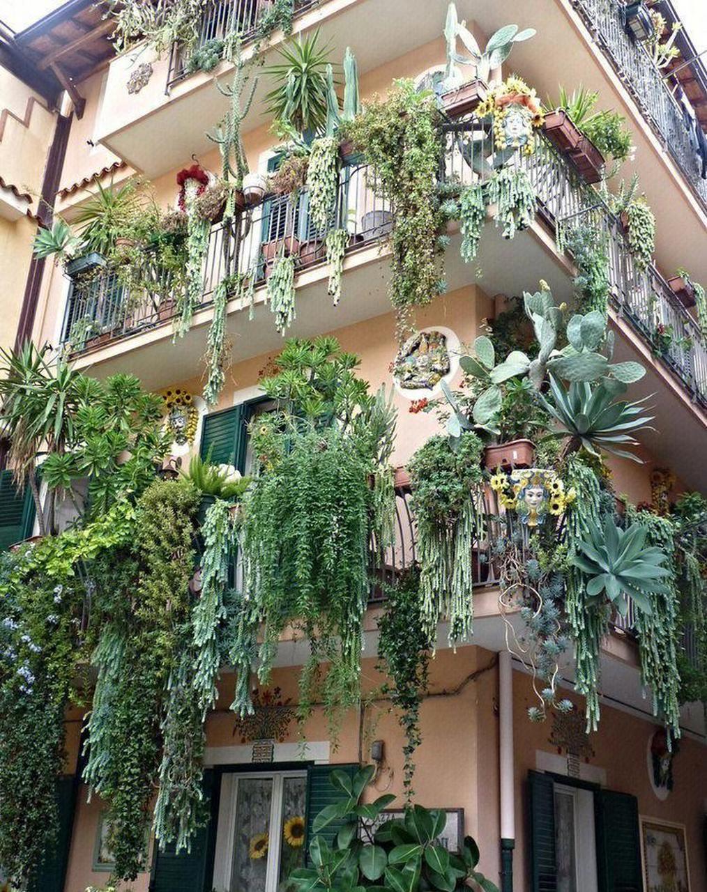 这栋房子可太招人稀罕了,多肉墙  #五一家装fun惠