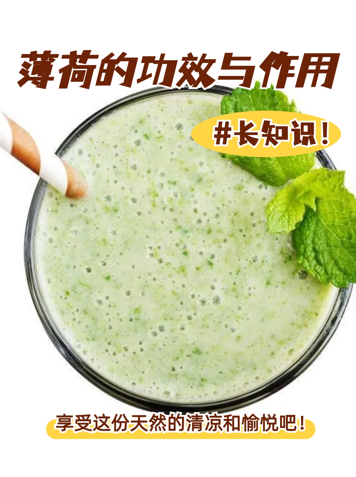 那就非薄荷莫属啦这种唇形科的草本植物可是多才多艺哦