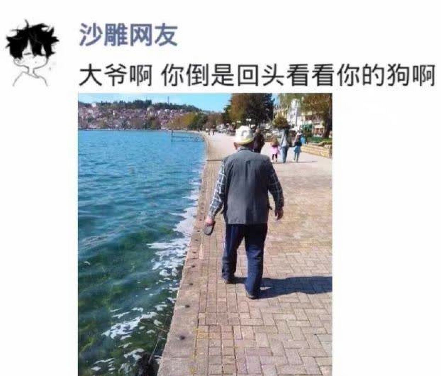 你懂什么,大叔遛狗又出了新花样[搞笑][偷笑]