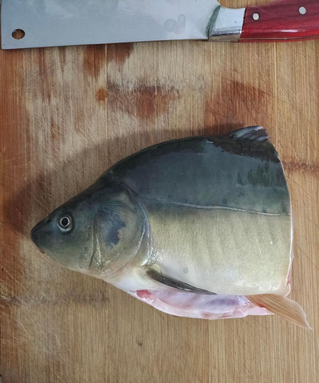 这是什么鱼,全身一片鳞都没有,刺也很少