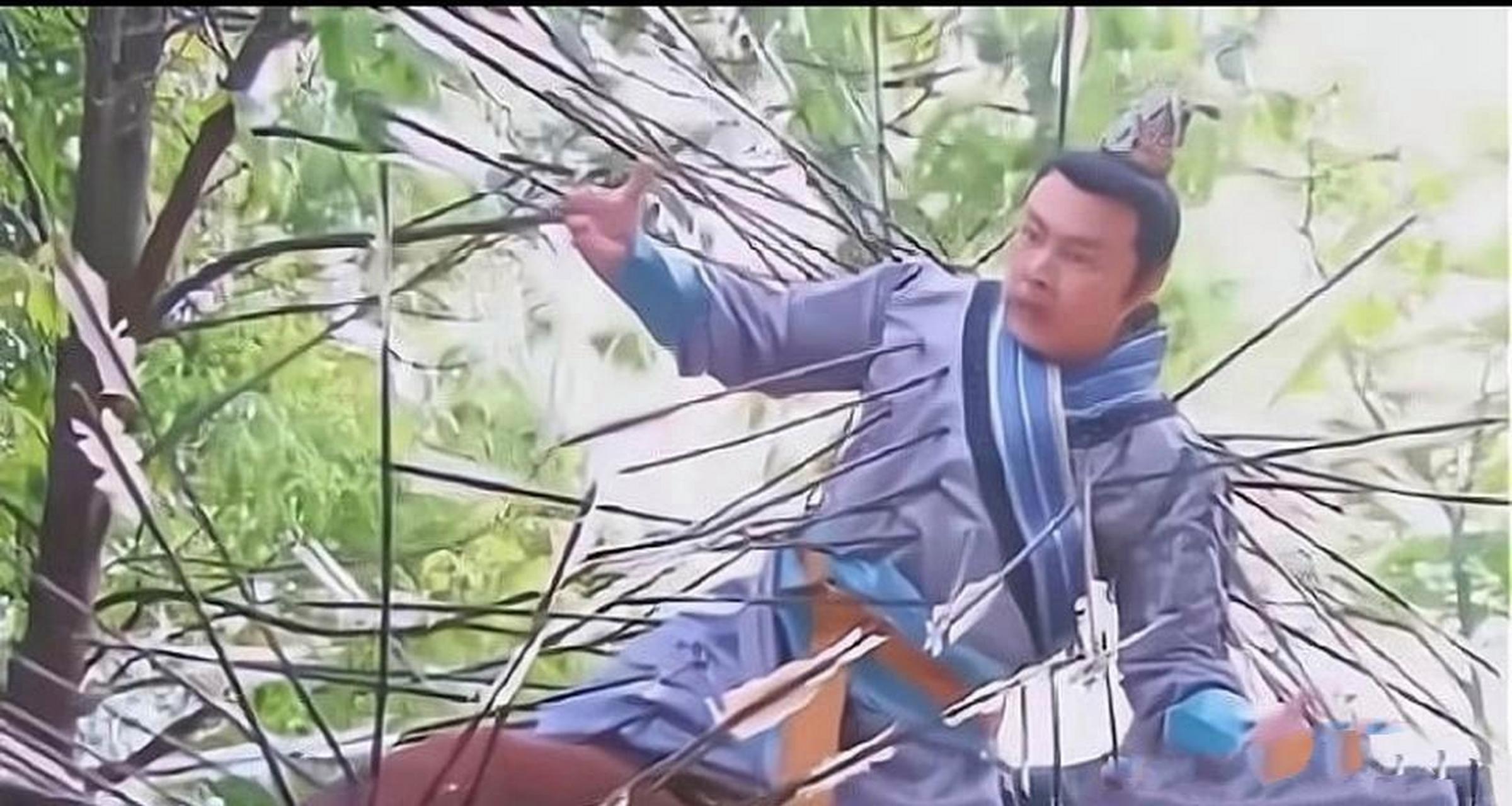 网友:张卫健就是厉害,把观众当傻子,全身是箭只有脸上没有