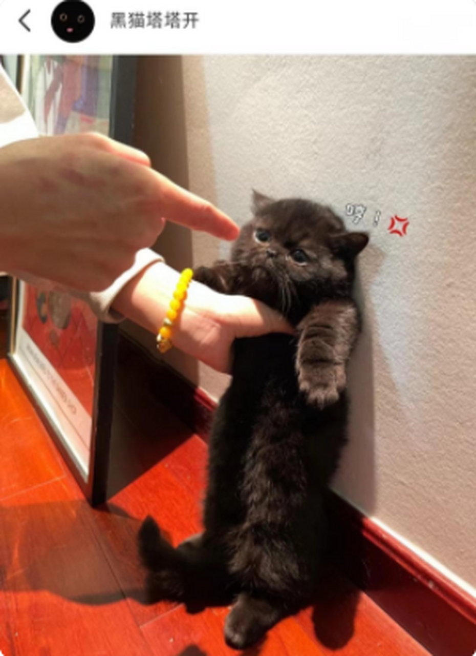 我就问你,服不服