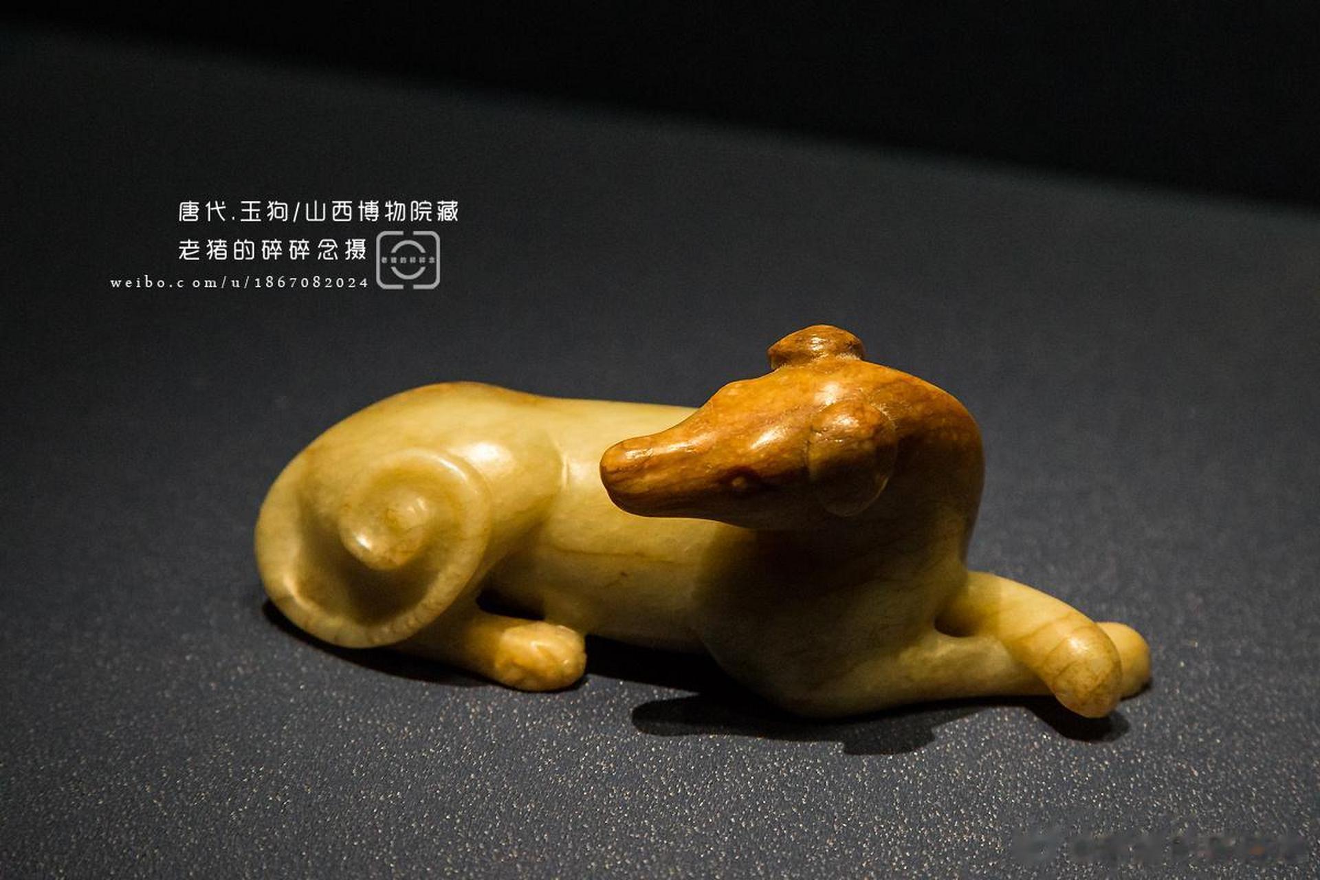 玉狗/山西博物院藏玉狗的细节刻画的太赞了,话说这大唐的雕刻师傅家