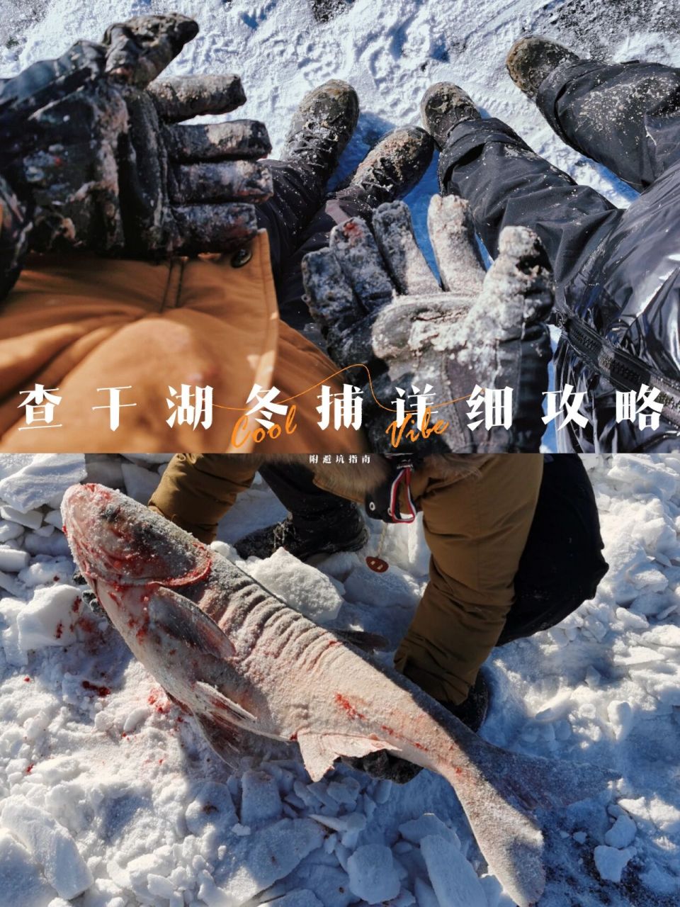 雪季旅行推荐|查干湖冬捕详细攻略 避坑指南	"凌晨5点 天未亮 零下23