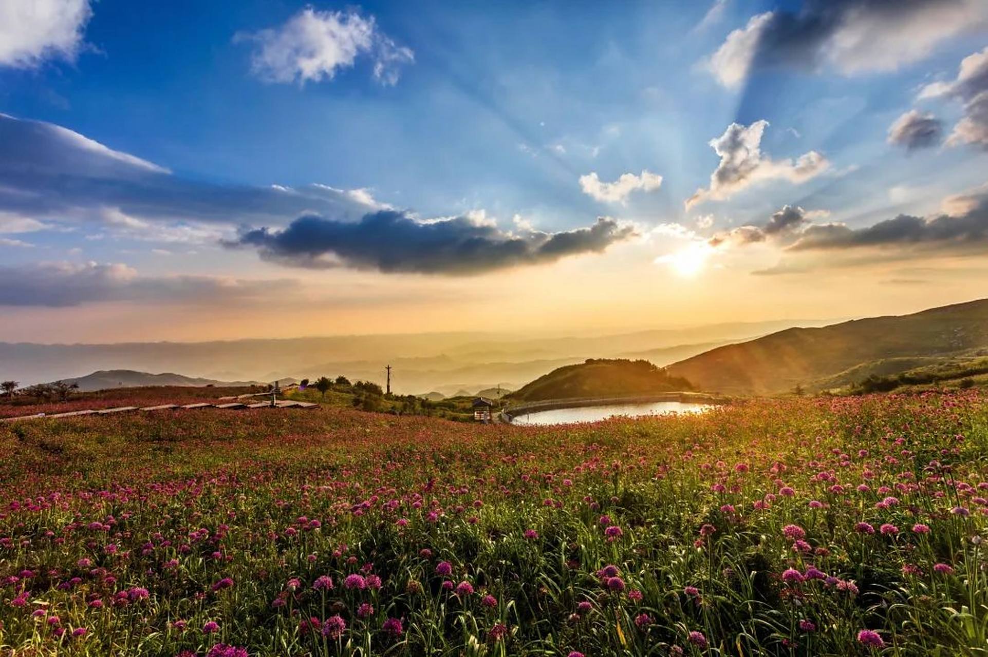 贵州屋脊的花海世界】每年九月,贵州省毕节市赫章县韭菜坪景区正值