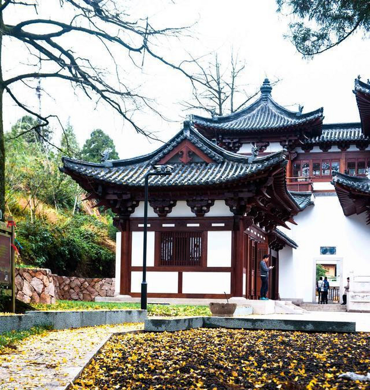 杭州径山寺种有许多银杏树,每到节,寺庙仿佛置身一片金黄的海洋之中.