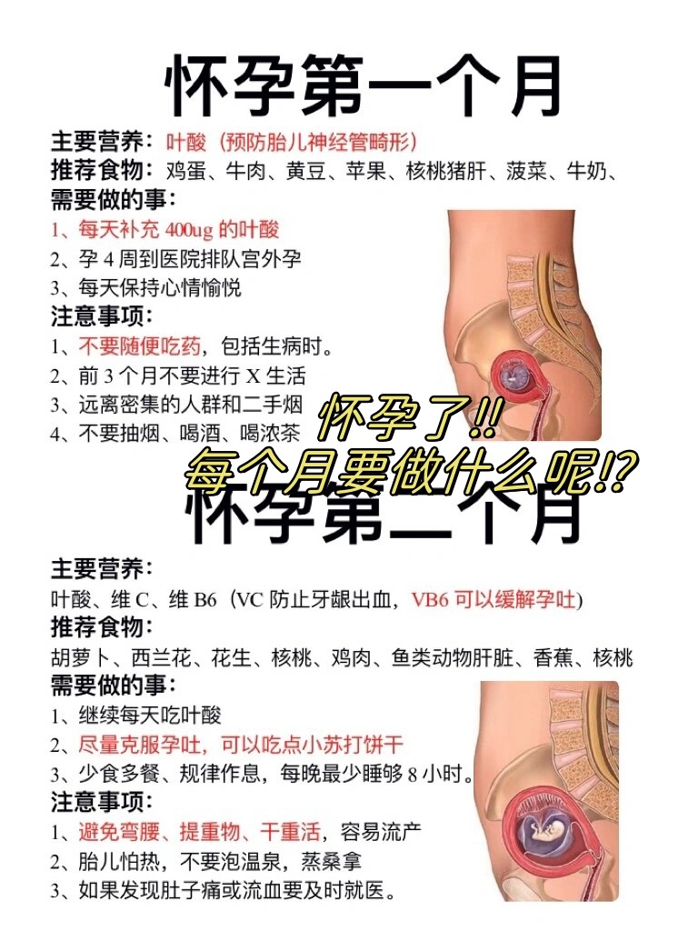 在怀孕期间