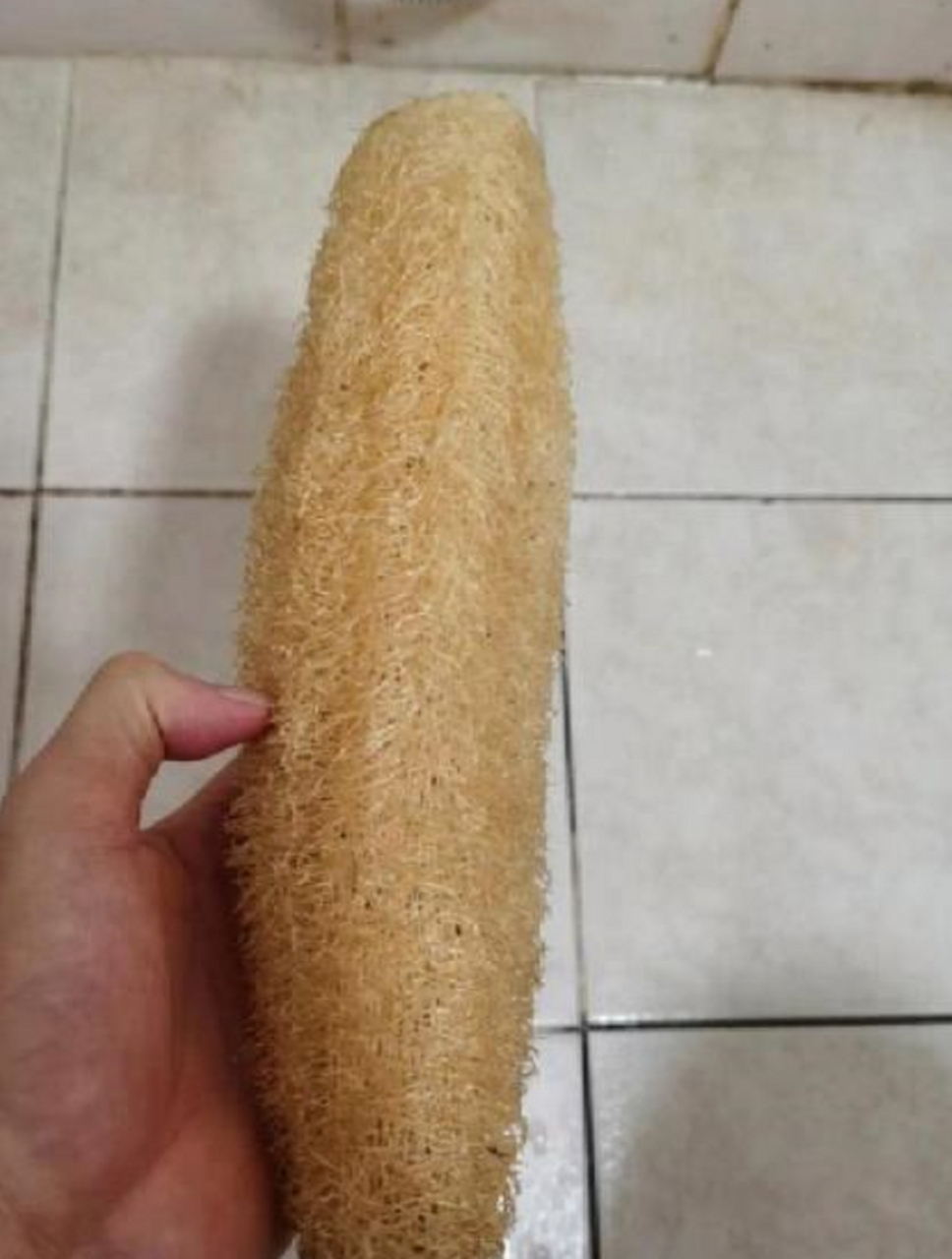 我们这叫丝瓜瓤子,你们呢?