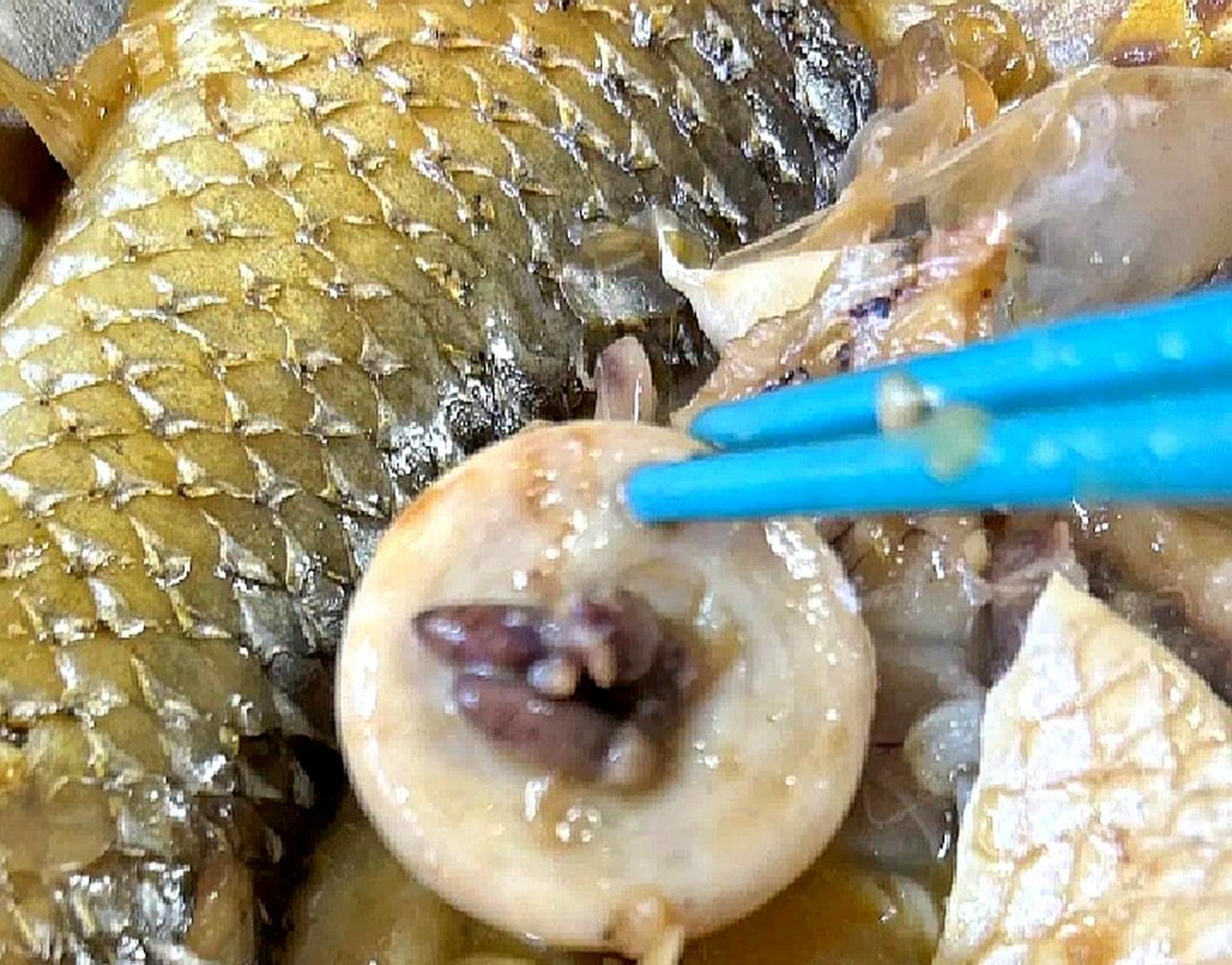 我爸说这是鱼的肚脐,让我大开眼界.