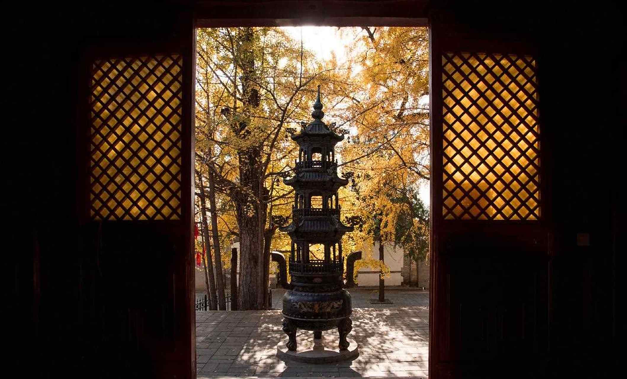 北京和平寺的千年银杏树,[阴险] 千年古树和千年古寺的搭配真是绝了!