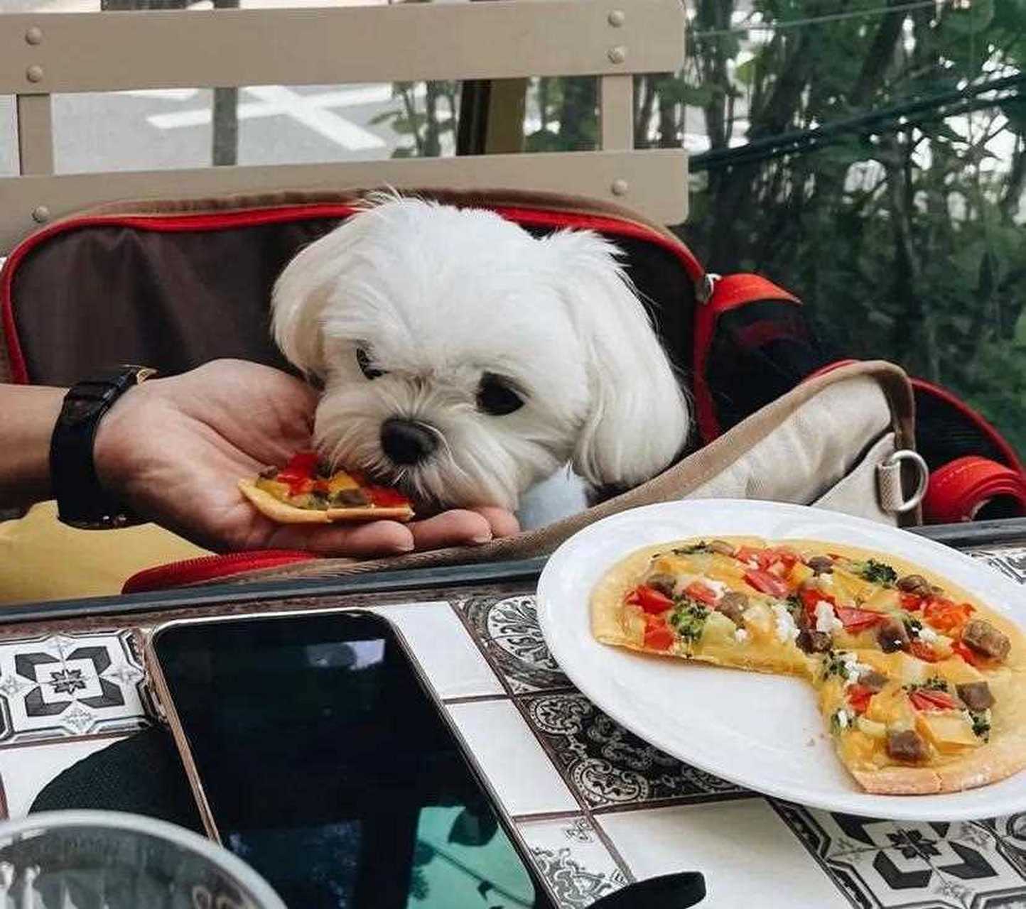 孫藝珍曬週六午餐美食很棒的樣子,不過亮點是圖二的手很像玄彬的耶在