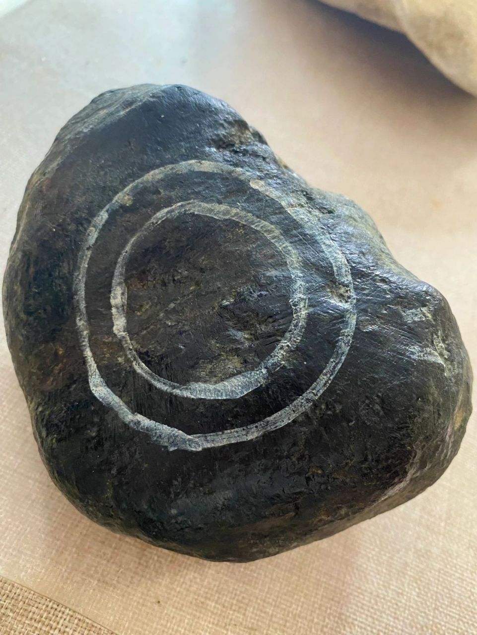 73公斤,莫湾基晴底手镯料,皮壳想当老,晴底浓韵,皮壳无裂,可切好几刀