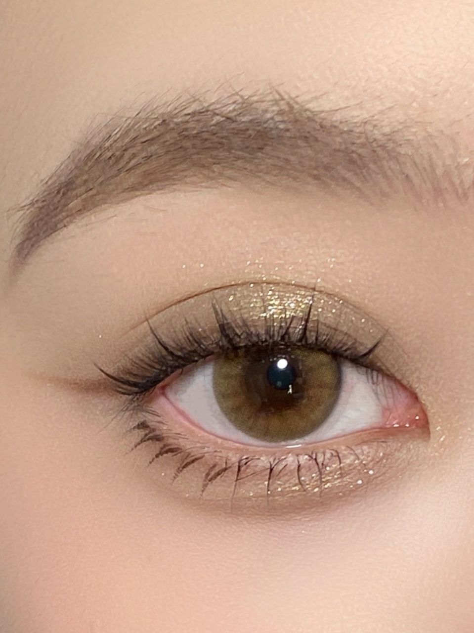 摩卡金棕 土系大金棕眼影  眼线用眼影里面最深的画的