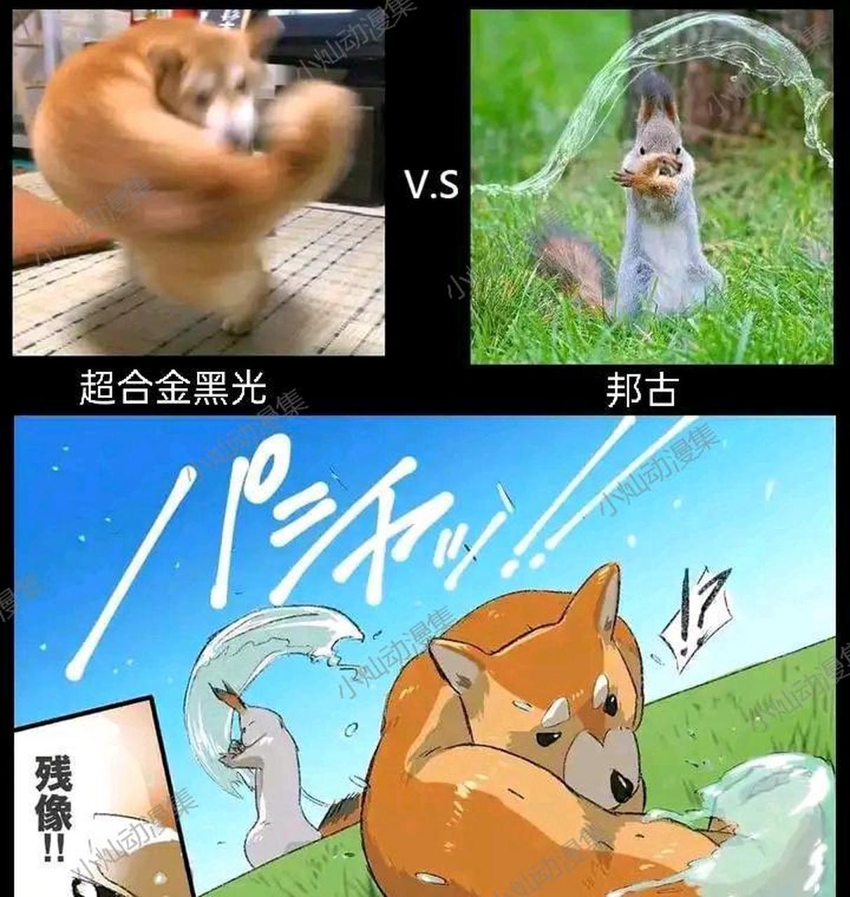 我在想,如果黑光之前找邦古切磋的话,会不会像现在这样呢?