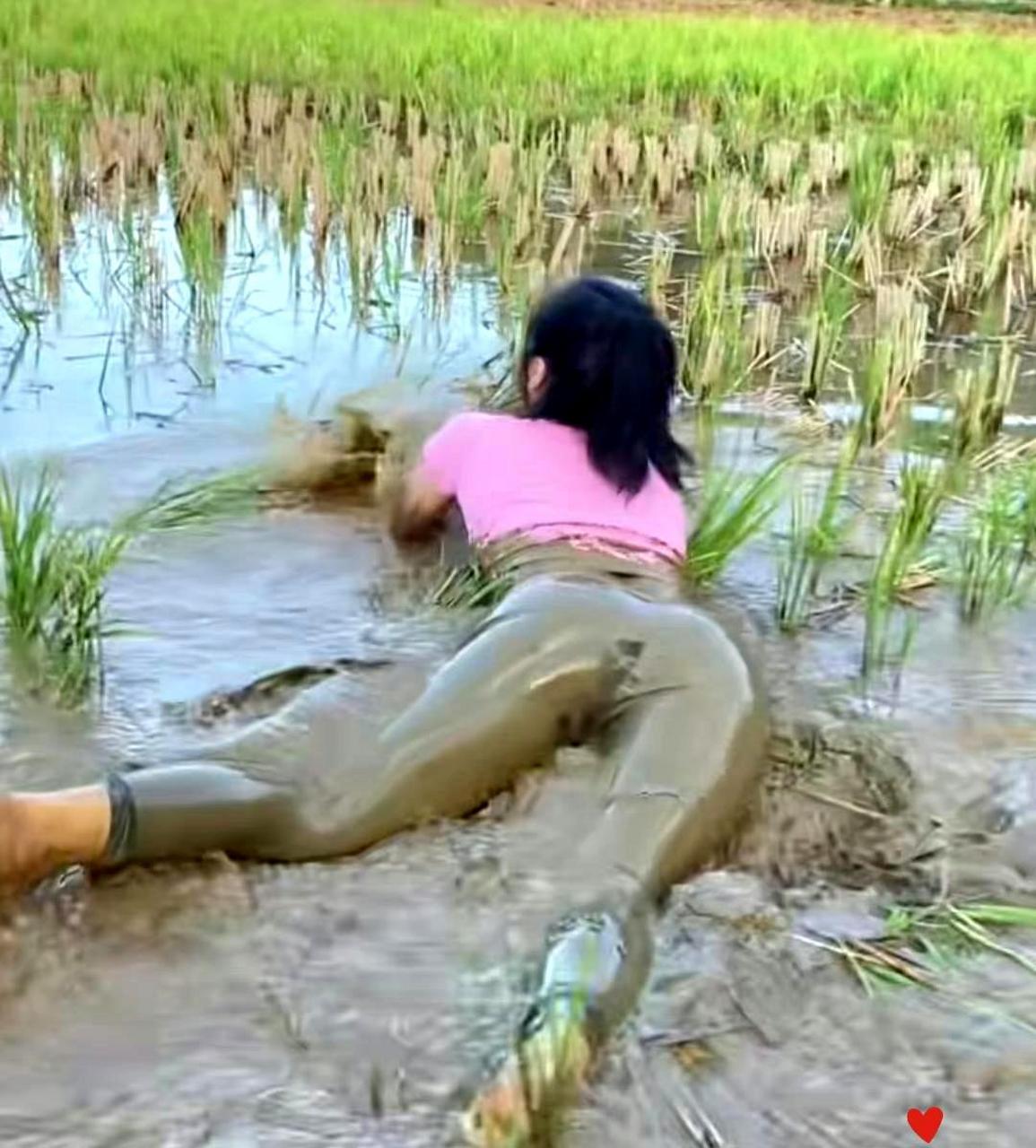 网红又开始涉足农村领域了?