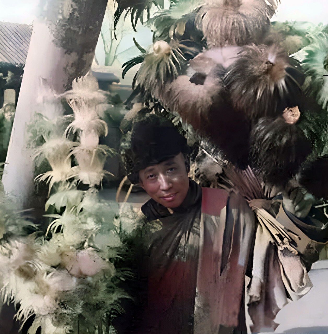 男子的鸡毛掸子的销量相当不错.