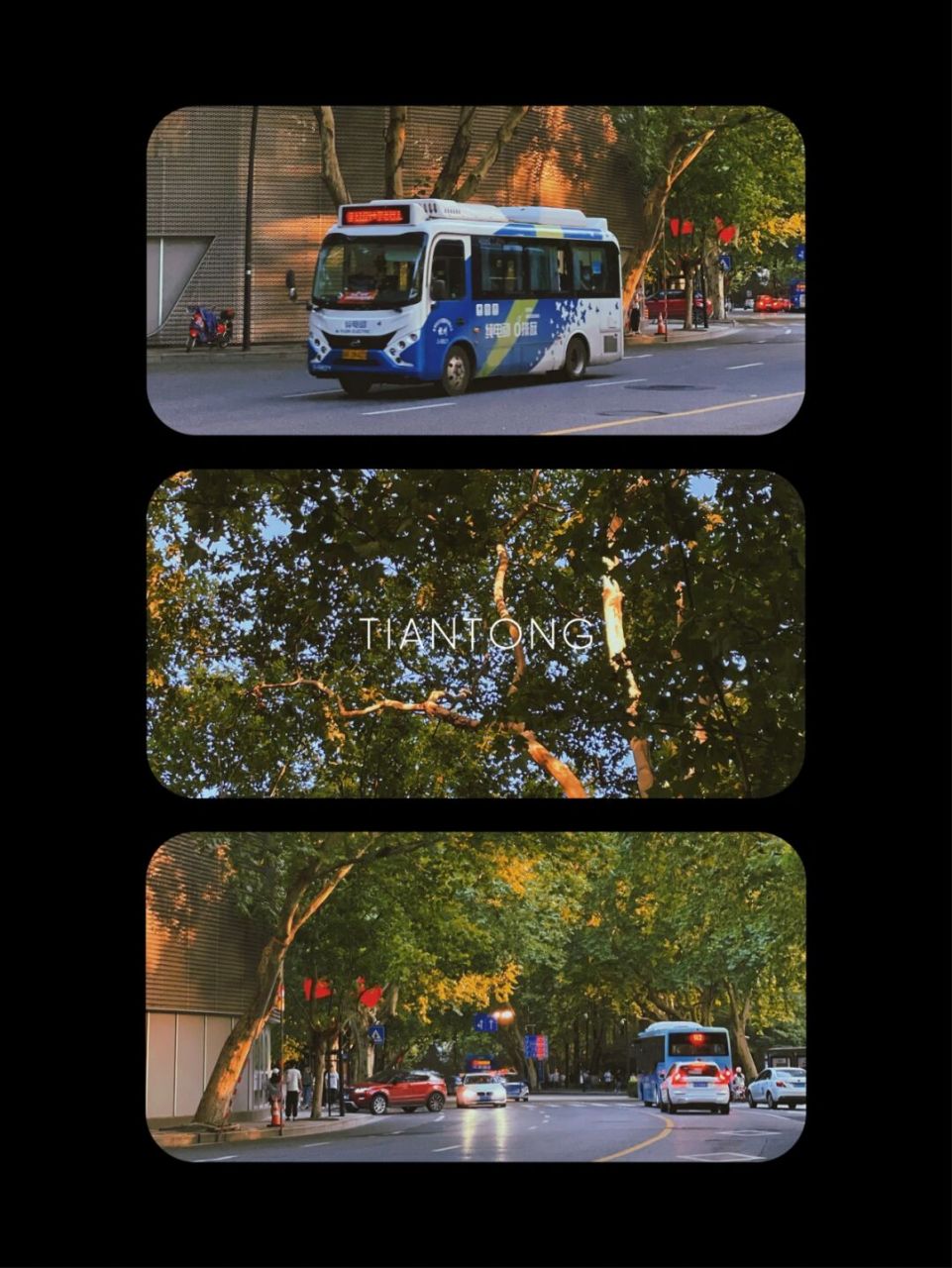 卡梅尔滤镜真的是我zui爱的滤镜啦 色彩浓郁复古[已阅] 拯救了我很多